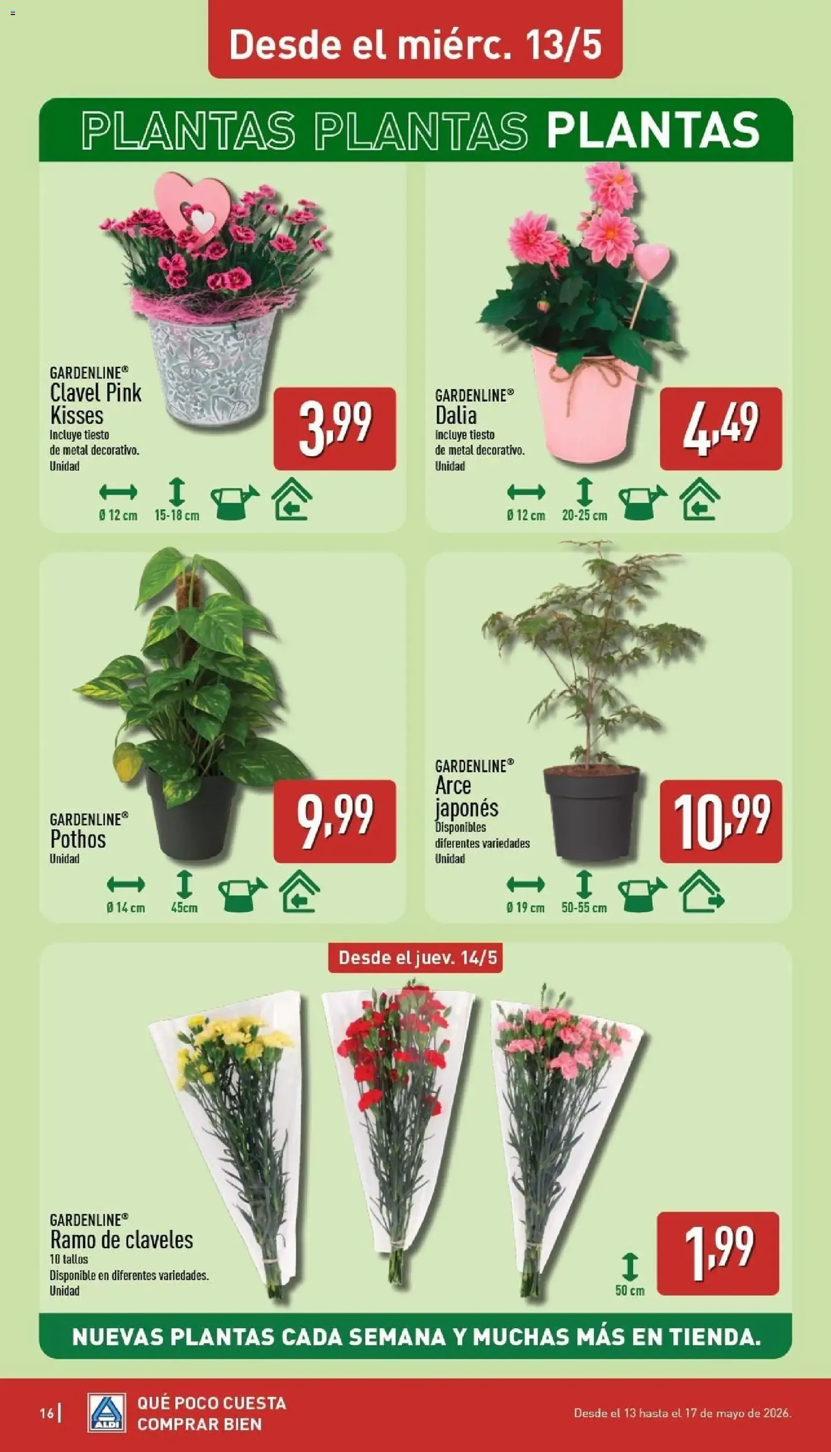Aldi folleto Península - folleto válido desde 11/05/2026 página 16 de 28