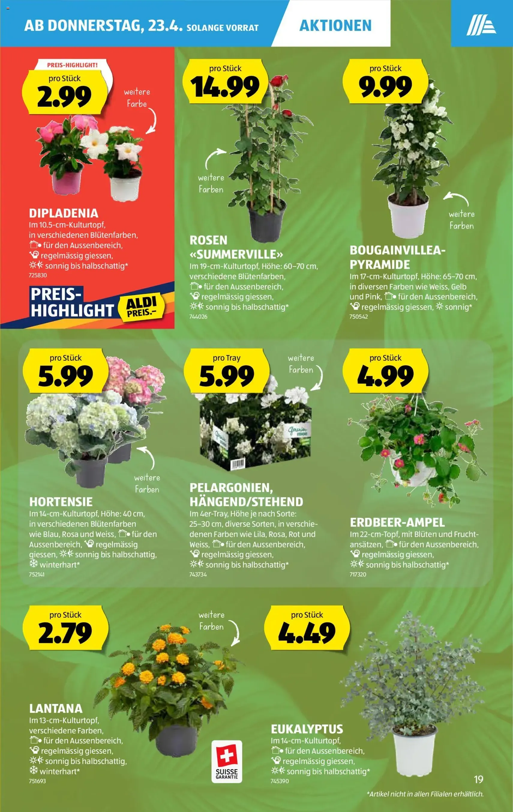 Aldi aktionen - Gültiger Prospekt ab 23.04.2026, Seite 19 von insgesamt 32