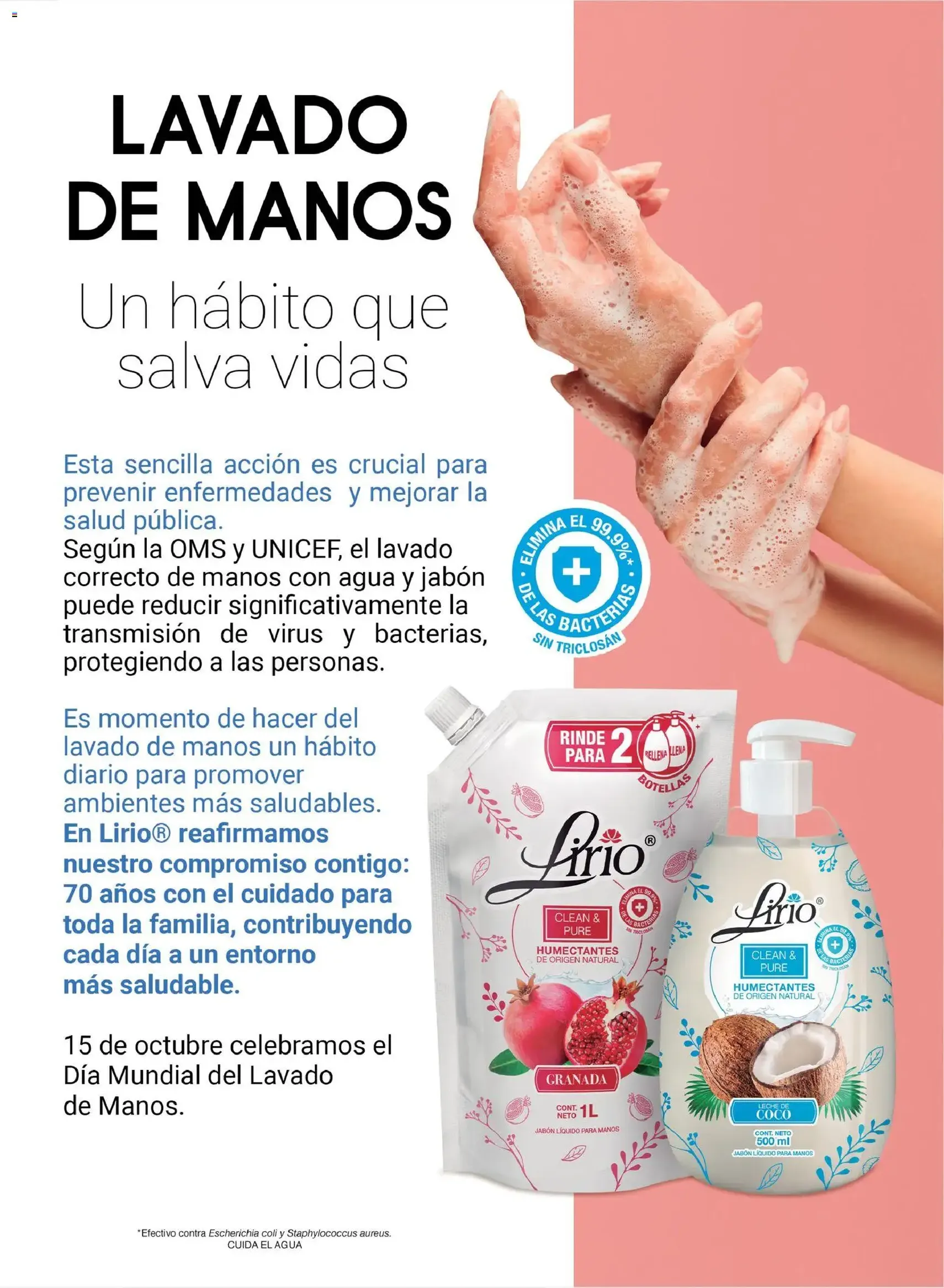 Chedraui folleto Vive Bella - folleto válido desde 24/10/2025 página 53 de 92