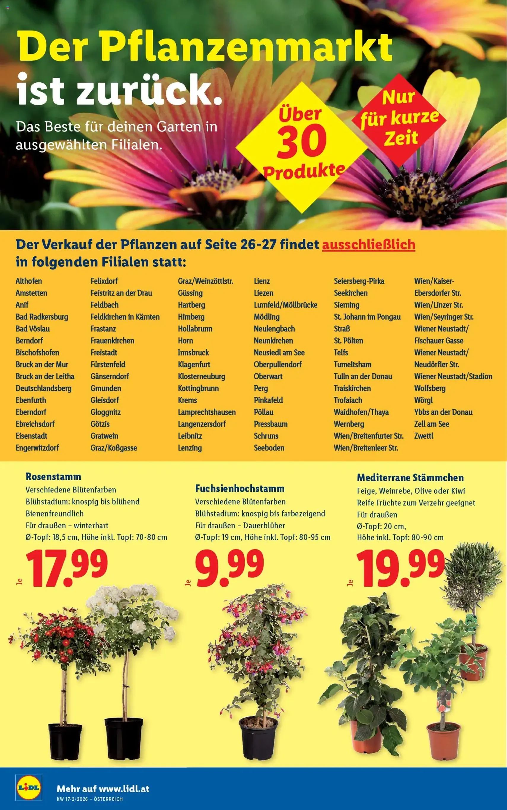 Lidl - Flugblatt - Gültiger Prospekt ab 23.04.2026, Seite 28 von insgesamt 56