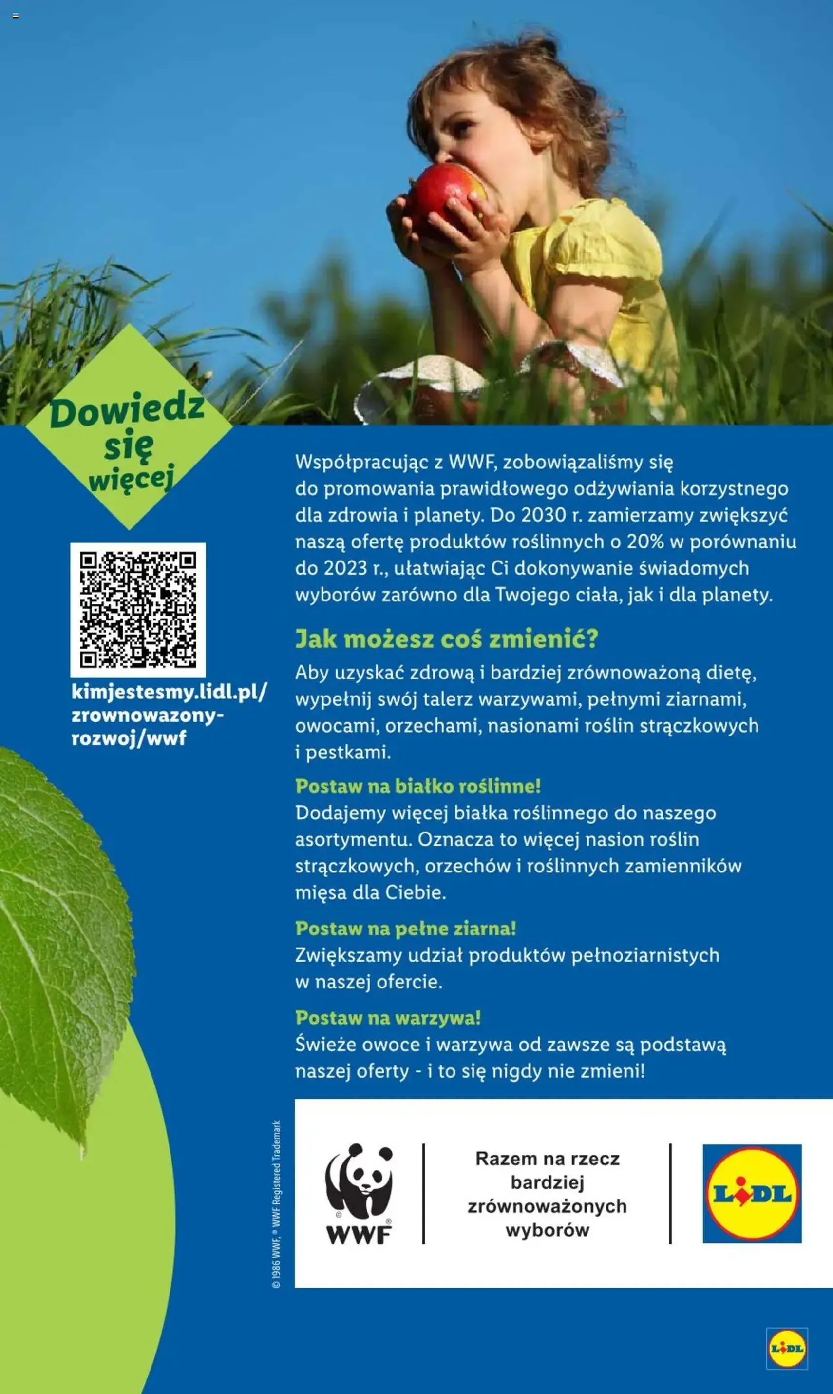 Lidl Gazetka - ważny gazetka od 25.08.2025 strona 65 z 68 Lidl Gazetka - ważny gazetka od 25.08.2025 strona 65 z 68