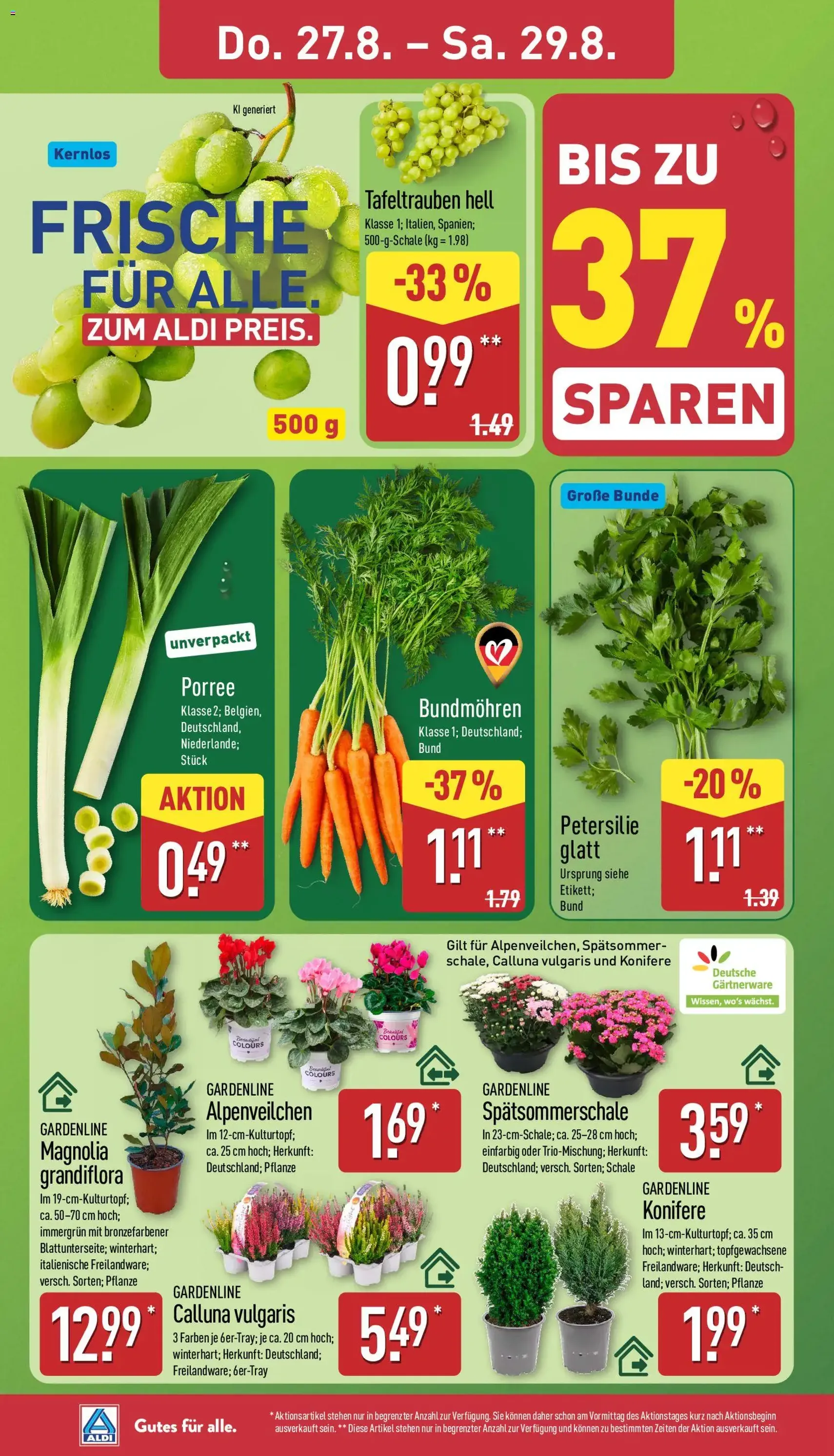 Aldi Prospekt - Gültiger Prospekt ab 24.08.2026, Seite 26 von insgesamt 43