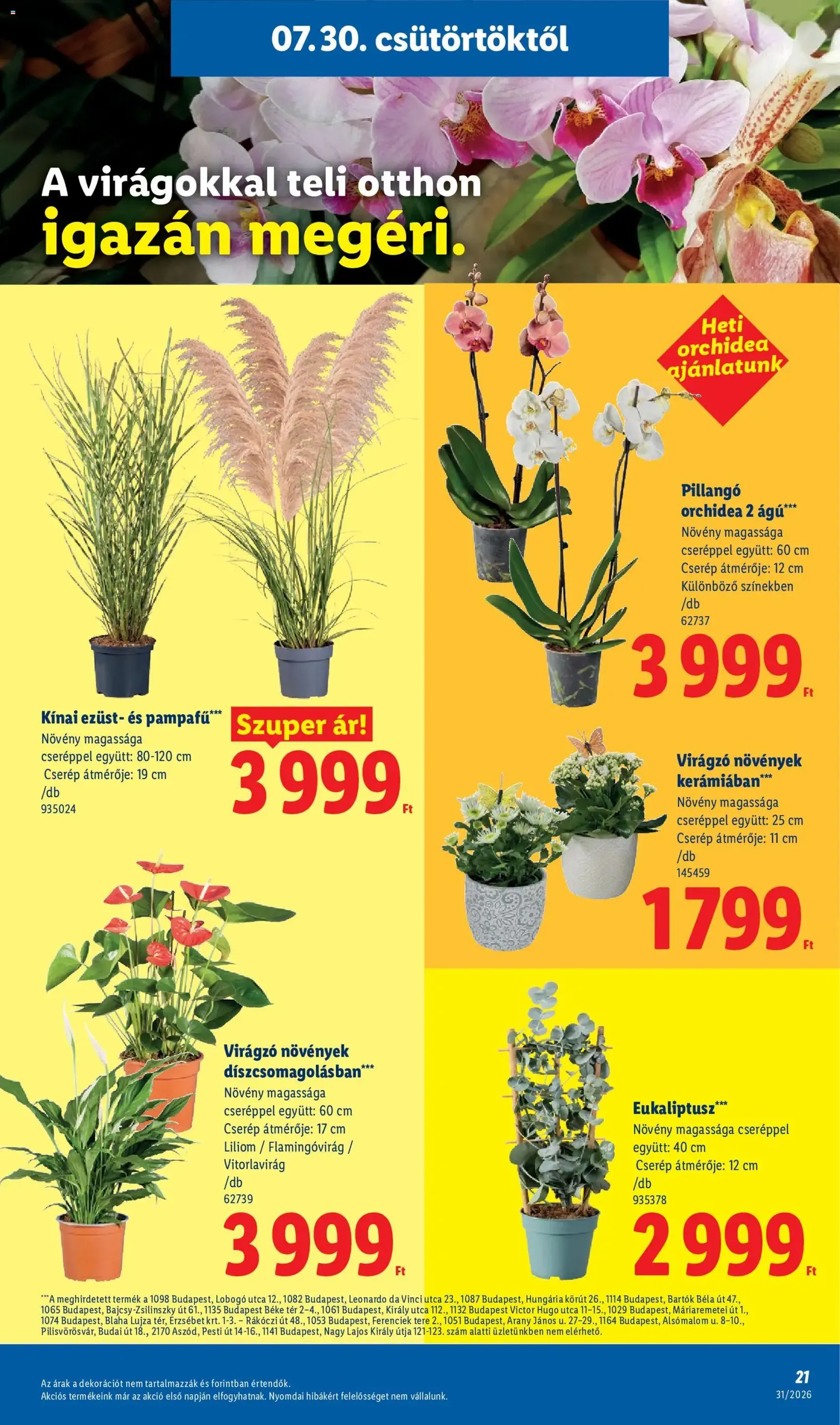 Lidl akciós újság - 2026.07.30. érvényes szórólap 21 oldal 58 oldalból