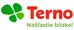 logo Terno