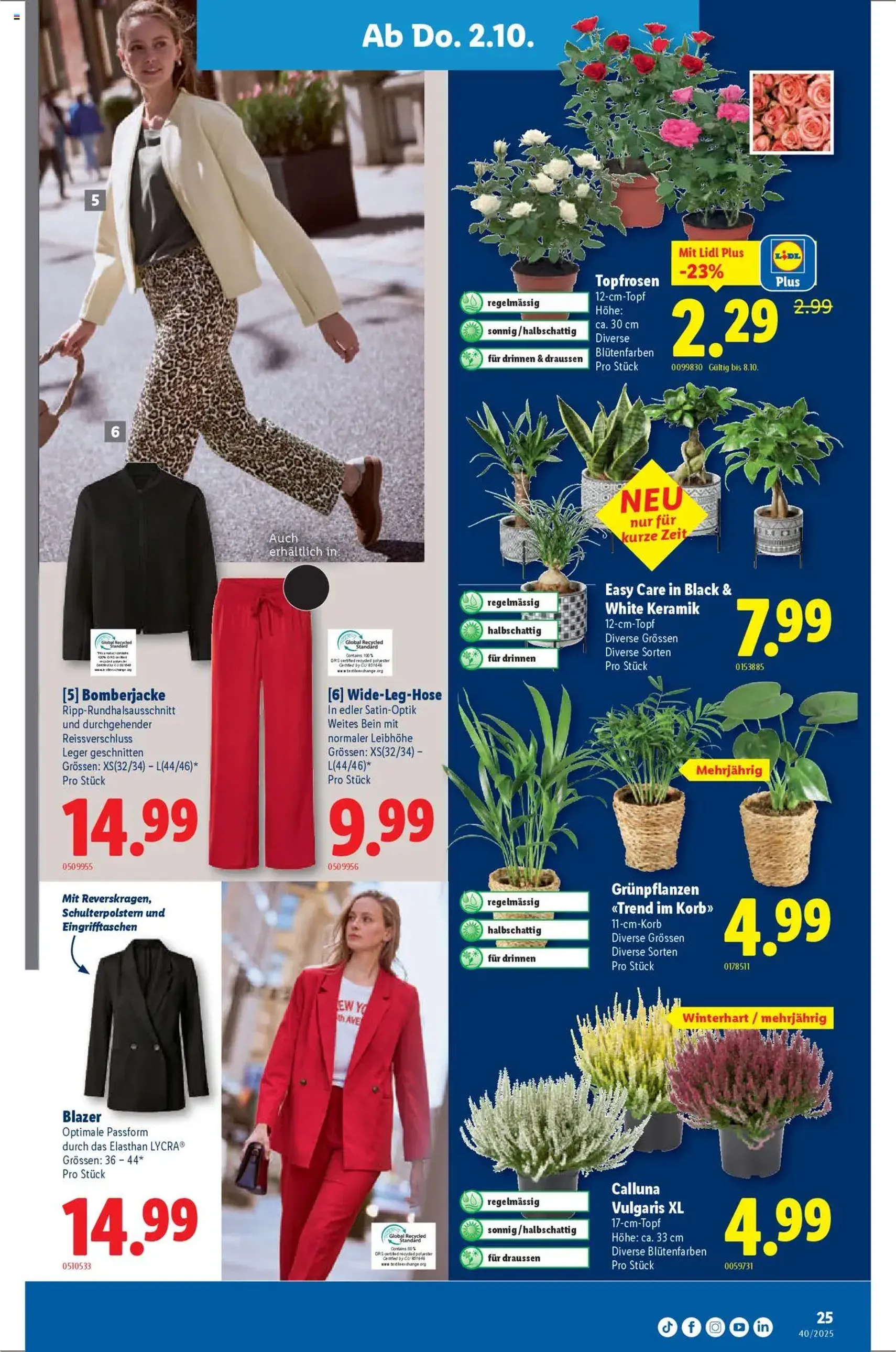 Lidl Aktionen - Gültiger Prospekt ab 02.10.2025, Seite 25 von insgesamt 36