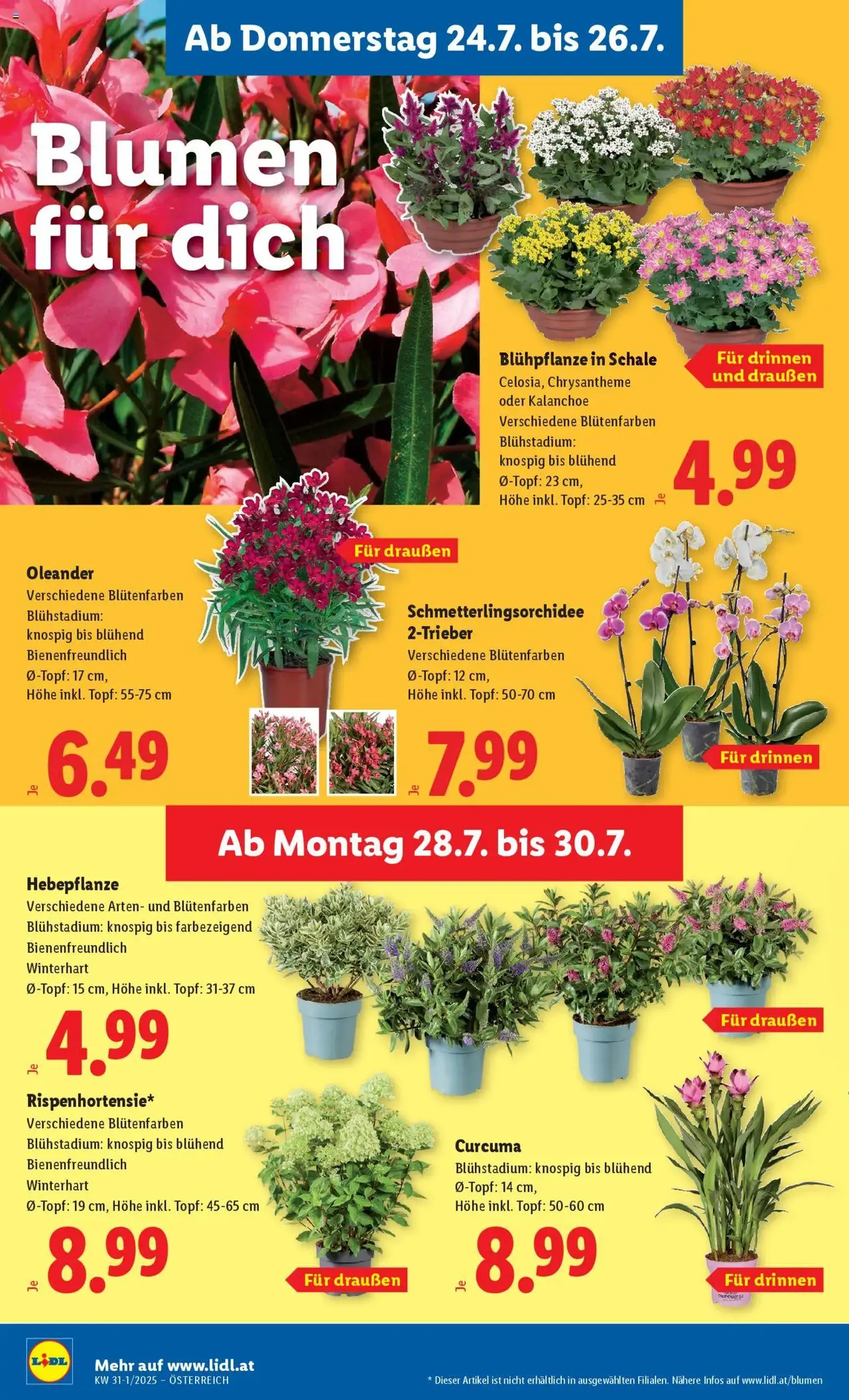 Lidl - Flugblatt - Gültiger Prospekt ab 24.07.2025, Seite 28 von insgesamt 49 Lidl - Flugblatt - Gültiger Prospekt ab 24.07.2025, Seite 28 von insgesamt 49