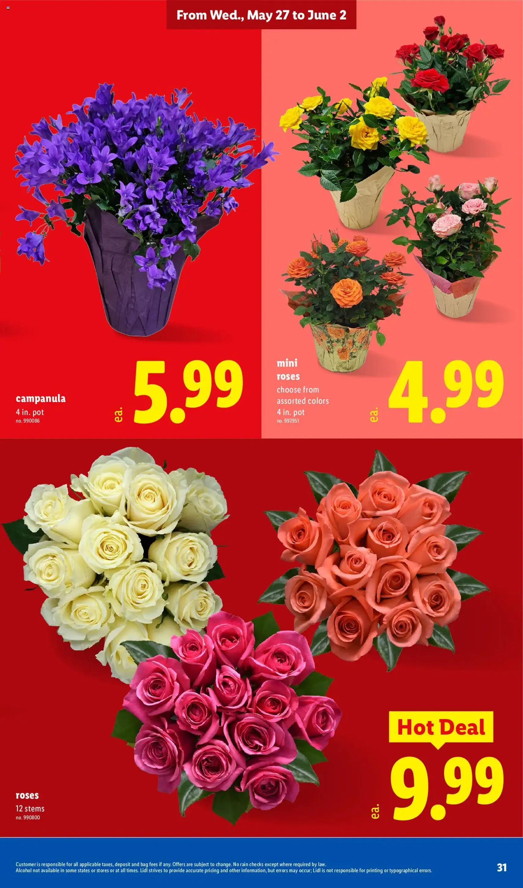 Lidl Weekly Ad - valid flyer from 05/27/2026, page 31 of 40
