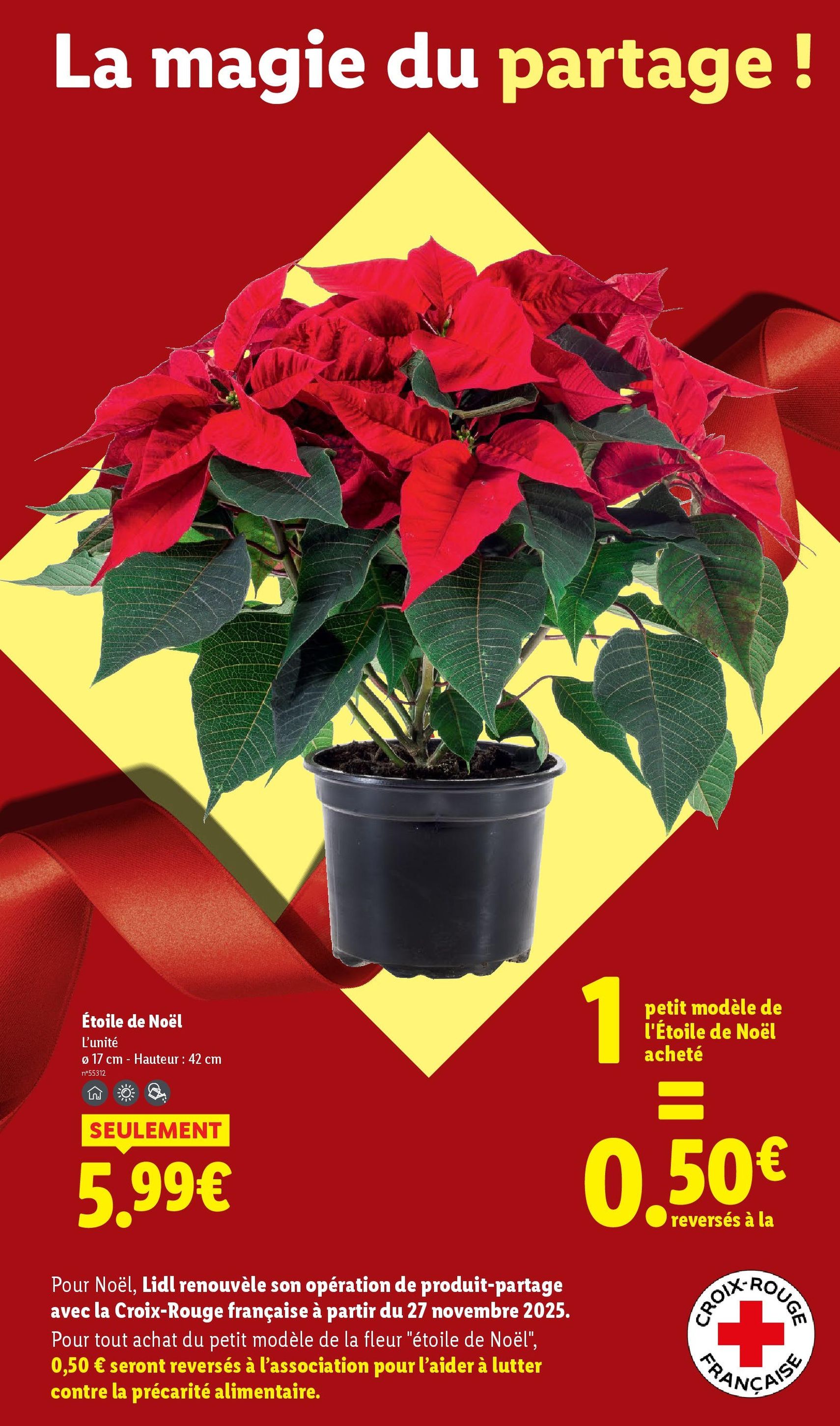 LIDL catalogue semaine 50 - brochure valable à partir du 11/12/2025, page 43 sur 88