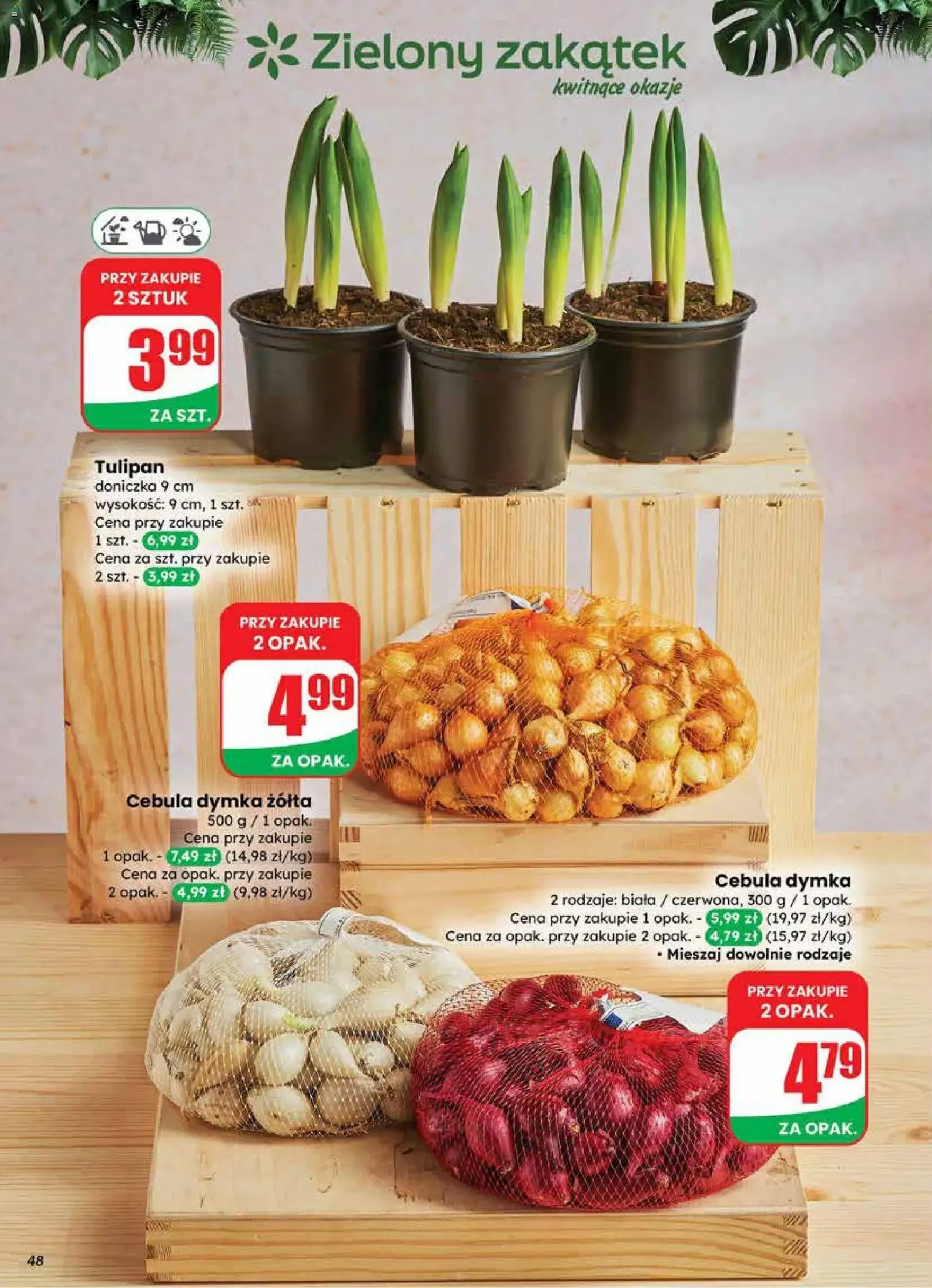 Dino Gazetka - ważny gazetka od 18.02.2026 strona 48 z 63