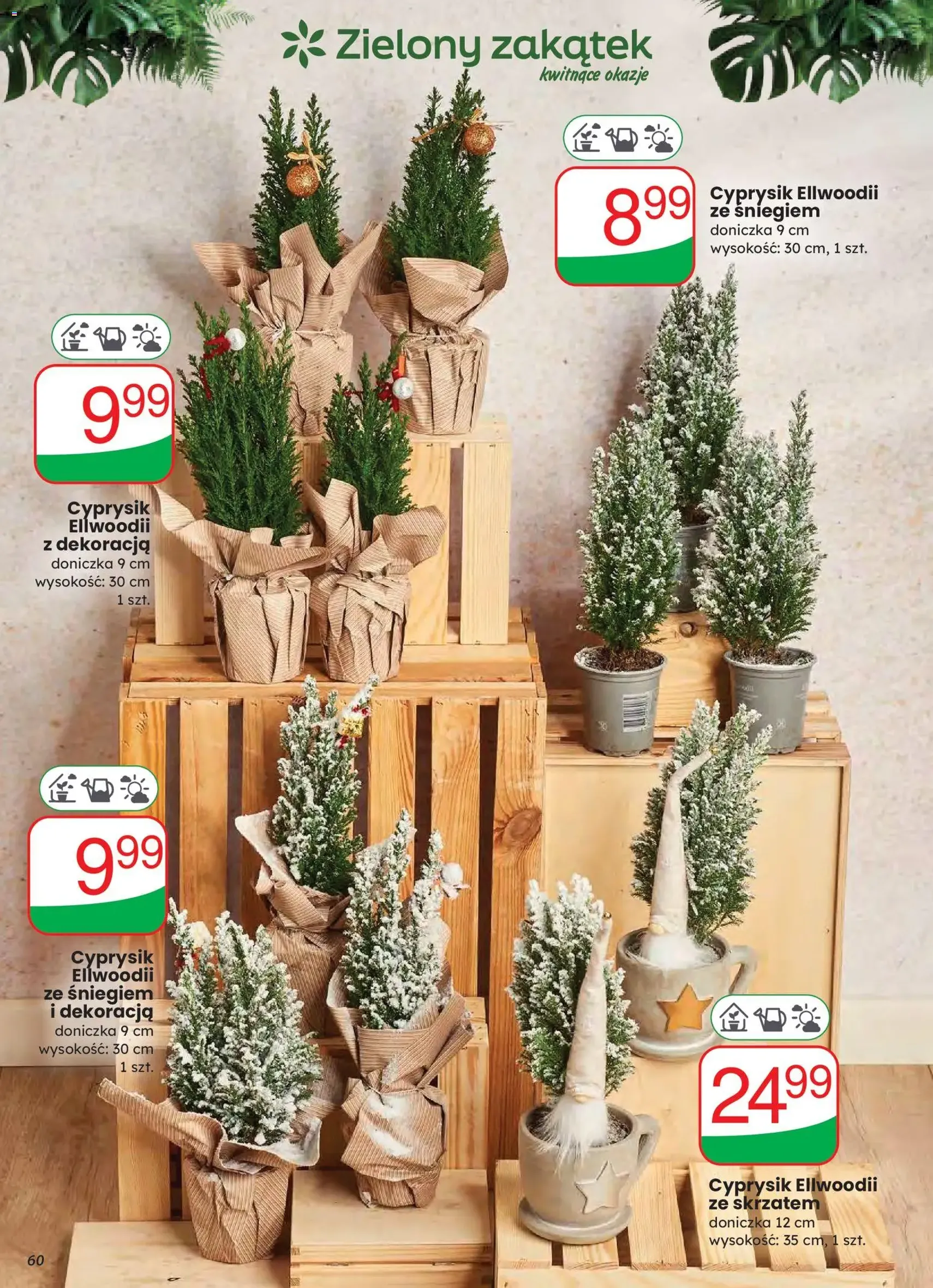 Dino Gazetka - ważny gazetka od 03.12.2025 strona 60 z 82