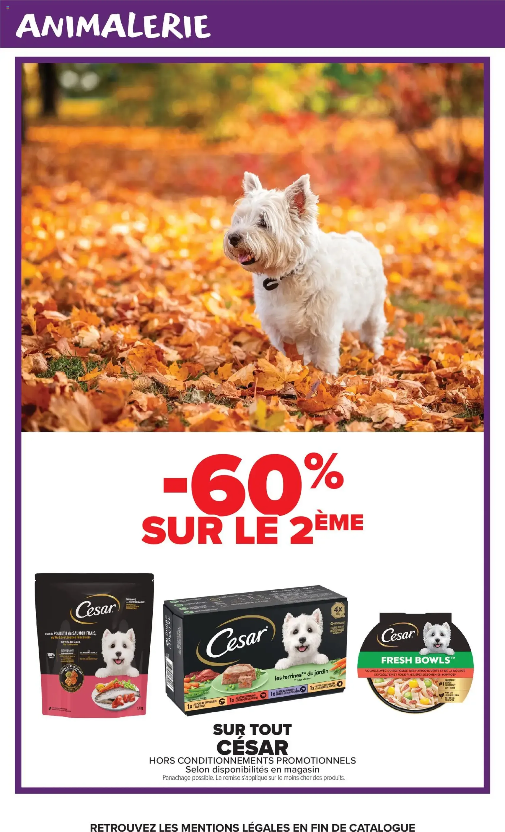 Carrefour catalogue - brochure valable à partir du 20/10/2026, page 15 sur 17