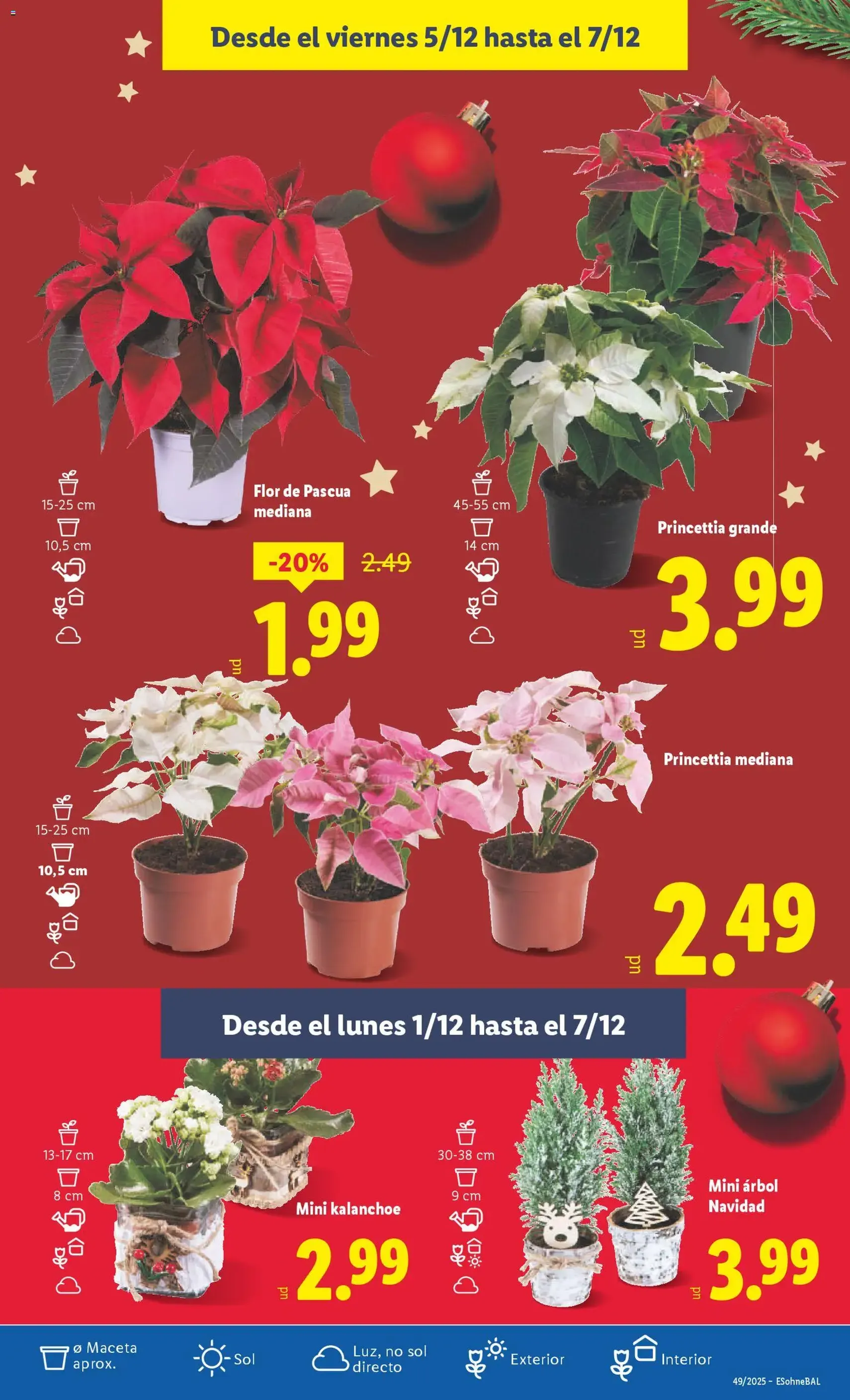 Lidl folleto - folleto válido desde 01/12/2025 página 53 de 53