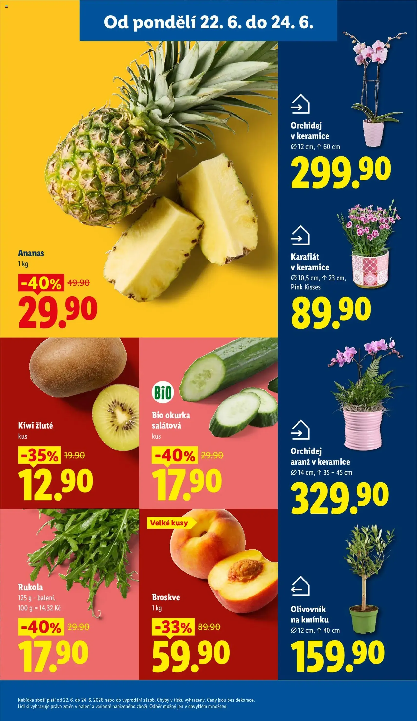 Lidl leták - platný leták od 22.06.2026 strana 9 z 53