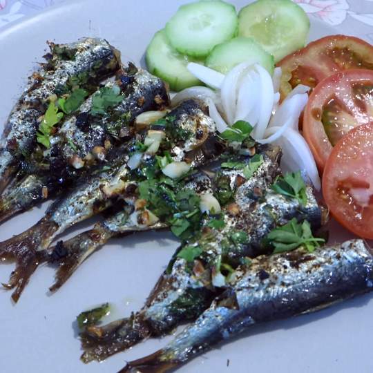 Anteprima ricetta Sarde al forno