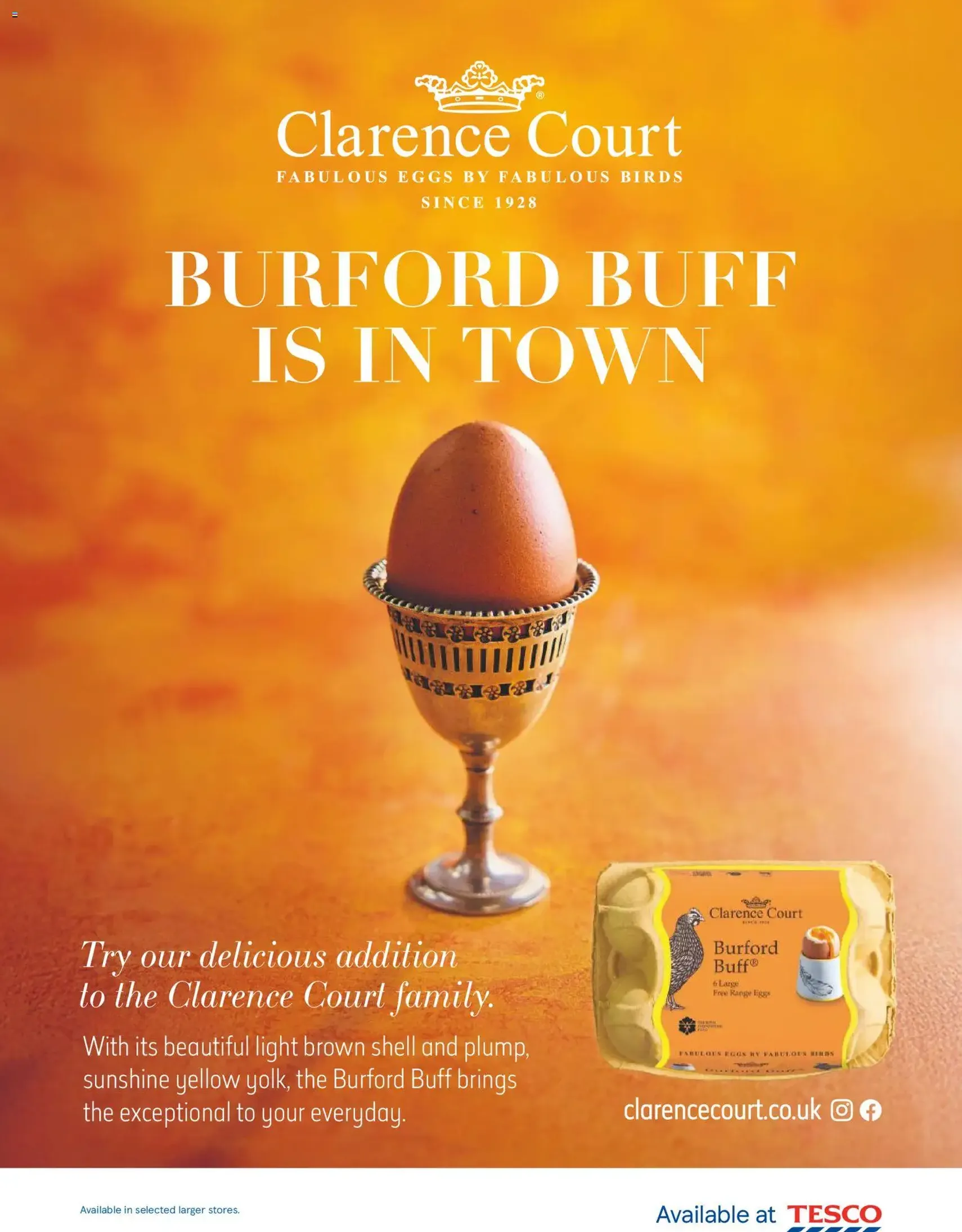 Tesco - Tesco Magazine March 2026 - valid flyer from 01/03/2026, page 17 of 100