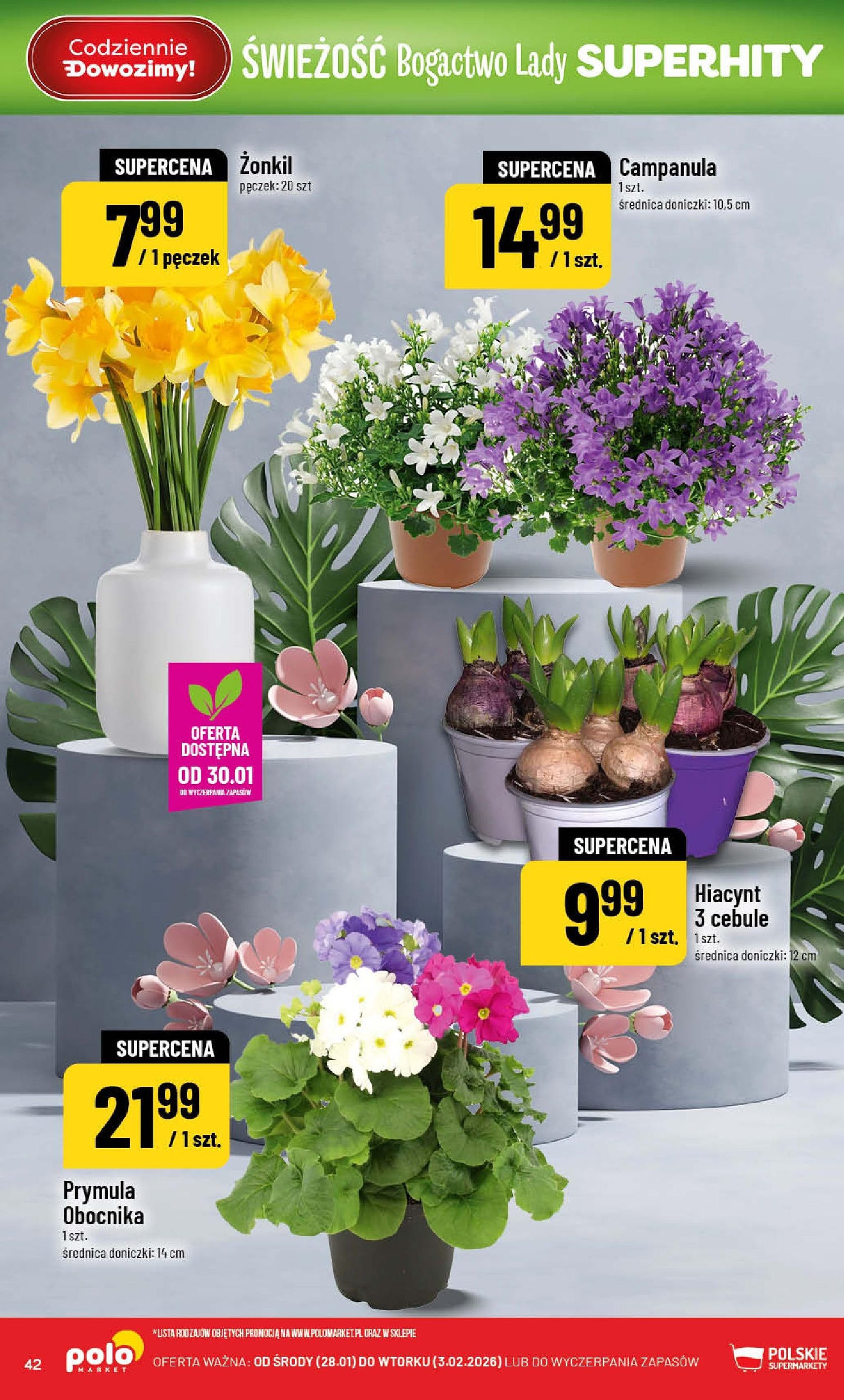 POLOmarket Gazetka - ważny gazetka od 28.01.2026 strona 42 z 56