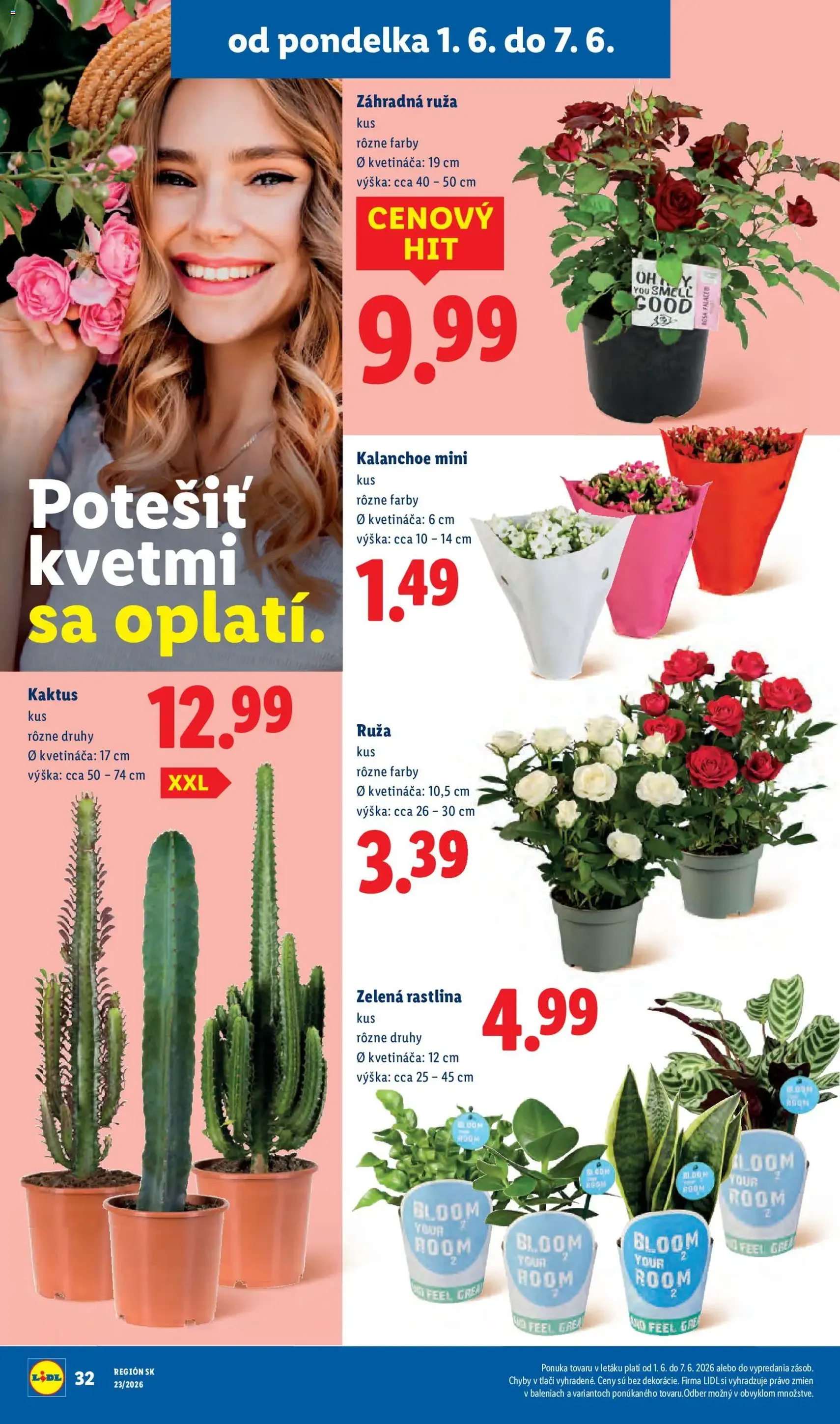 Lidl leták - platný leták od 01.06.2026 strana 46 z 97