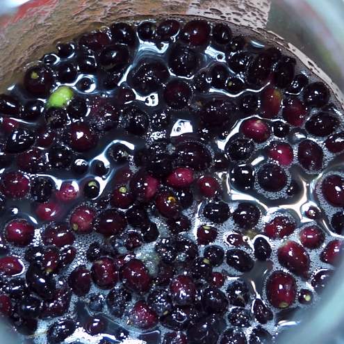 Mirto - procedimento 1