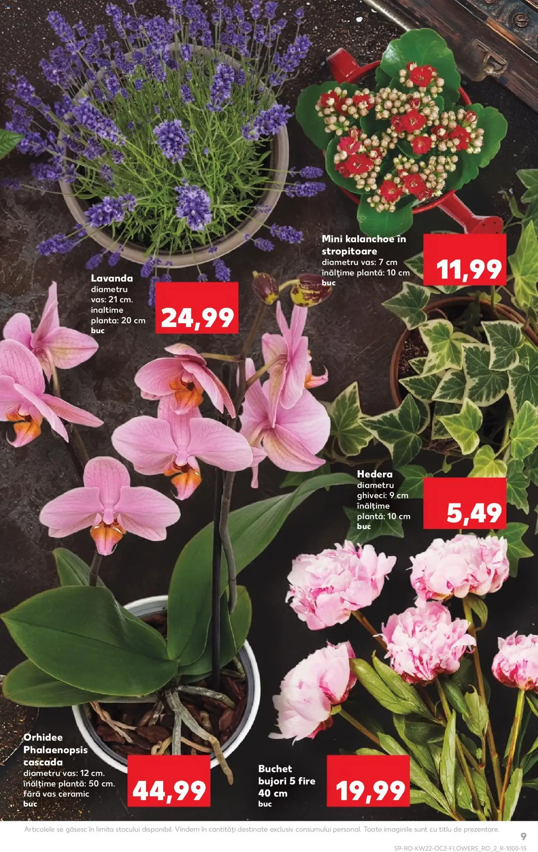 Kaufland Catalog - cataloage valabile începând cu 27.05.2026 pagina 9 din 56