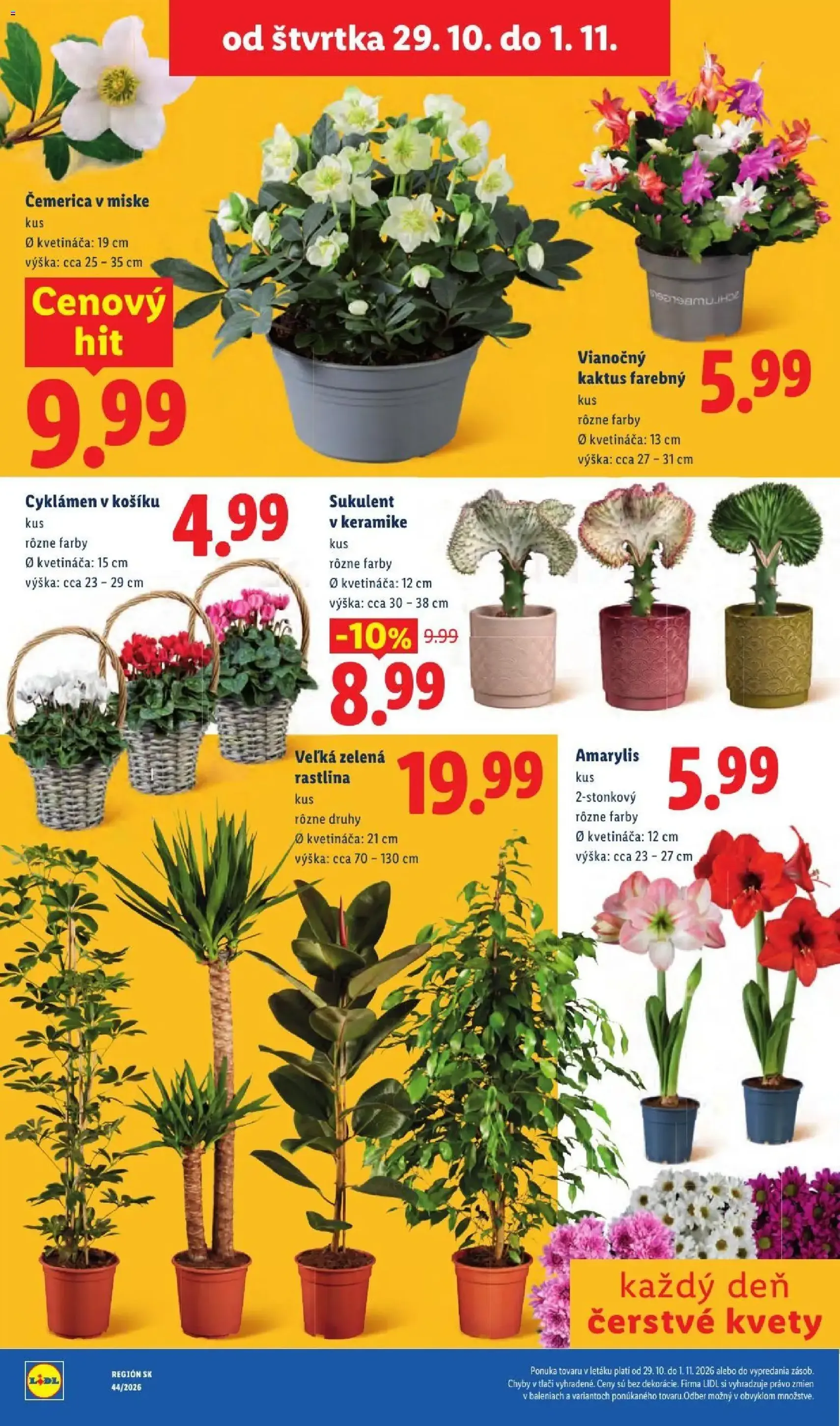 Lidl leták - platný leták od 26.10.2026 strana 101 z 107