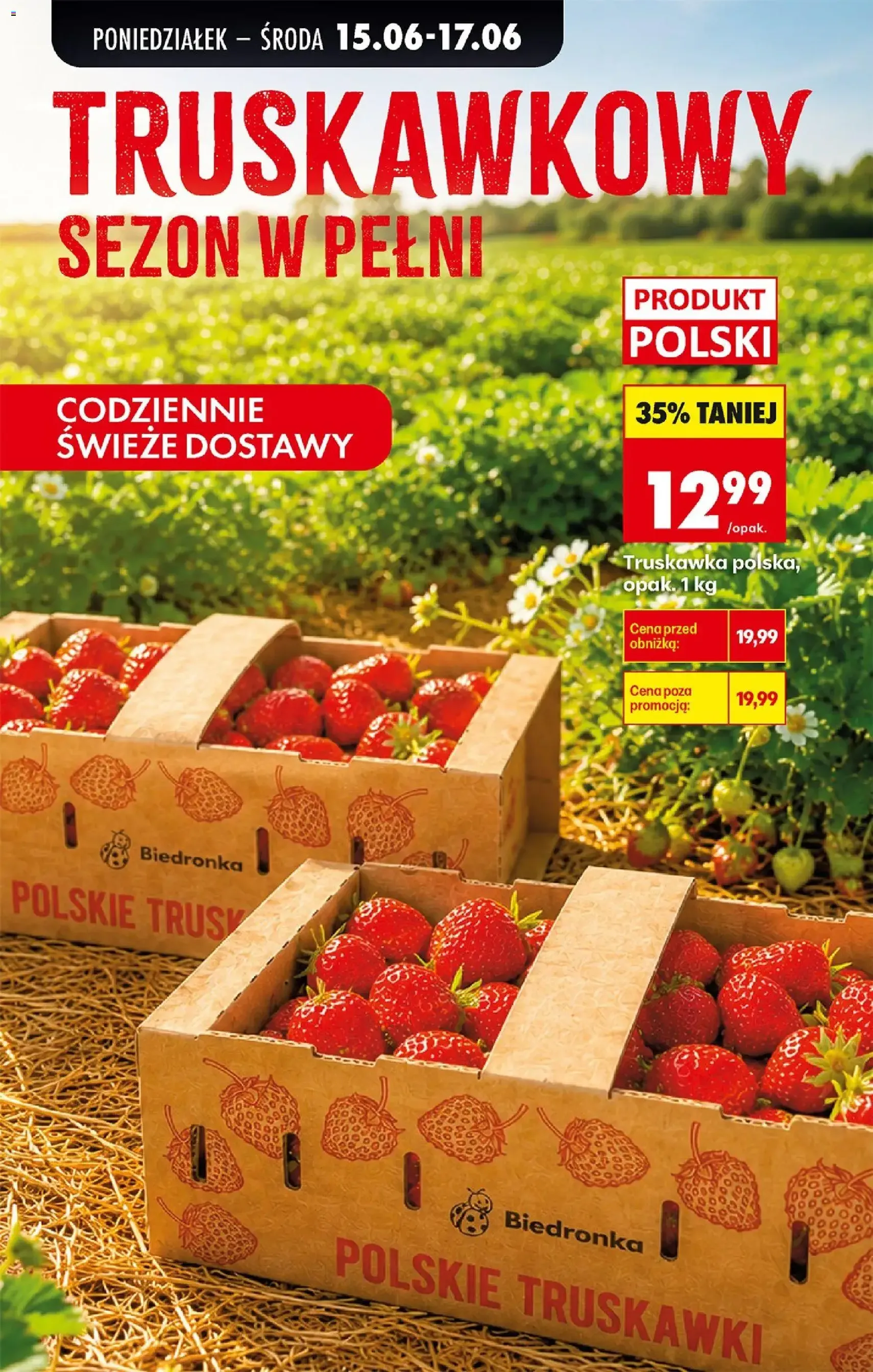 Biedronka gazetka od poniedziałku - ważny gazetka od 15.06.2026 strona 31 z 87