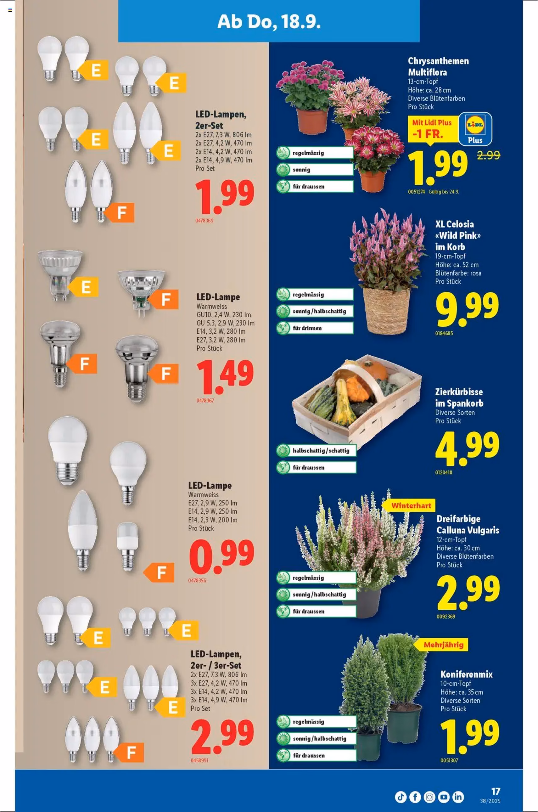 Lidl Aktionen - Gültiger Prospekt ab 18.09.2025, Seite 17 von insgesamt 32