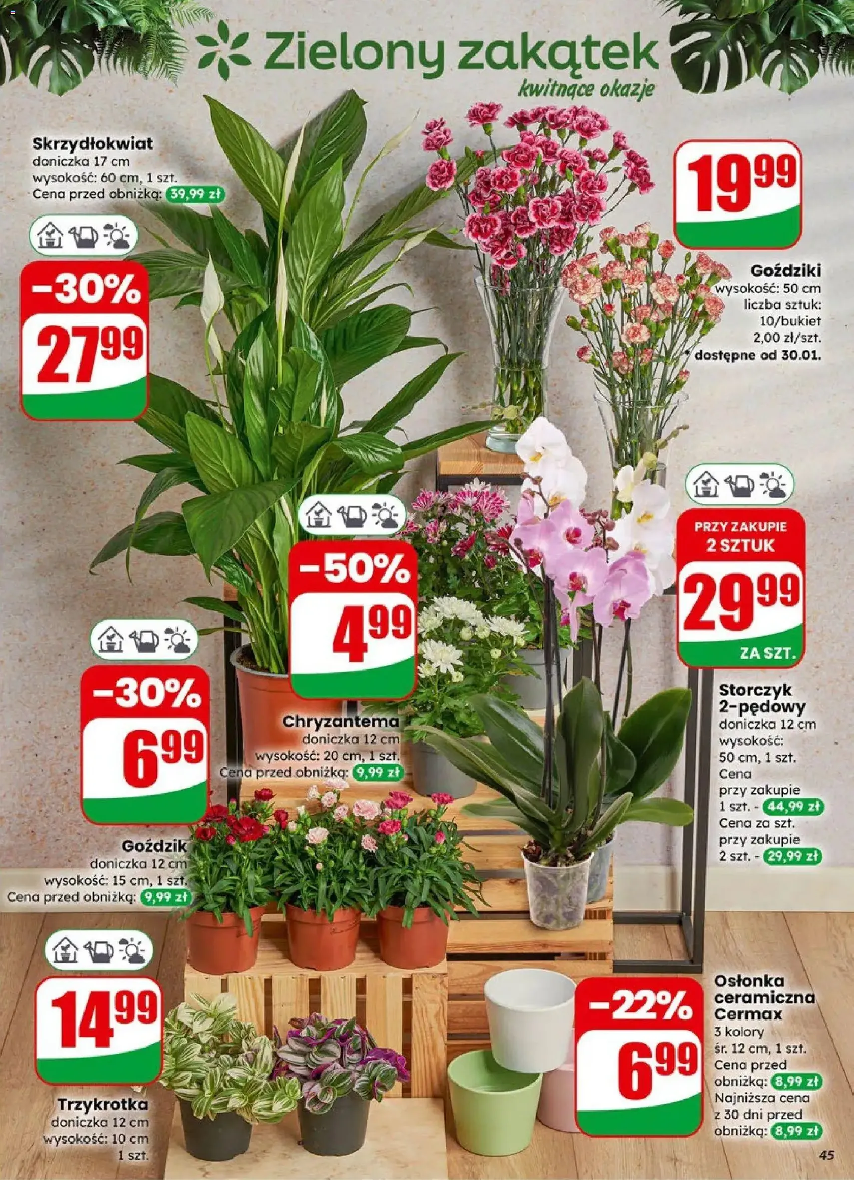 Dino Gazetka - ważny gazetka od 28.01.2026 strona 45 z 60