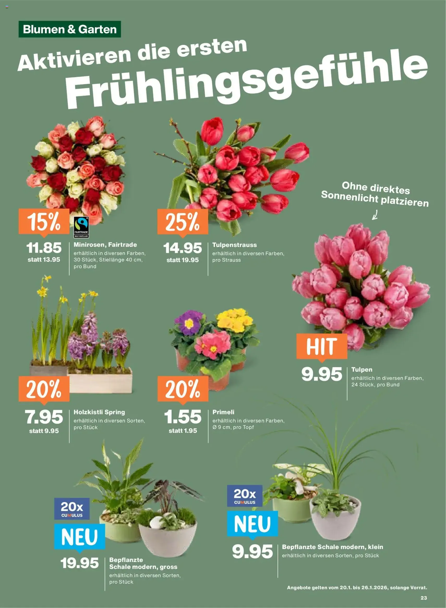 Migros Aktionen - Gültiger Prospekt ab 20.01.2026, Seite 23 von insgesamt 24