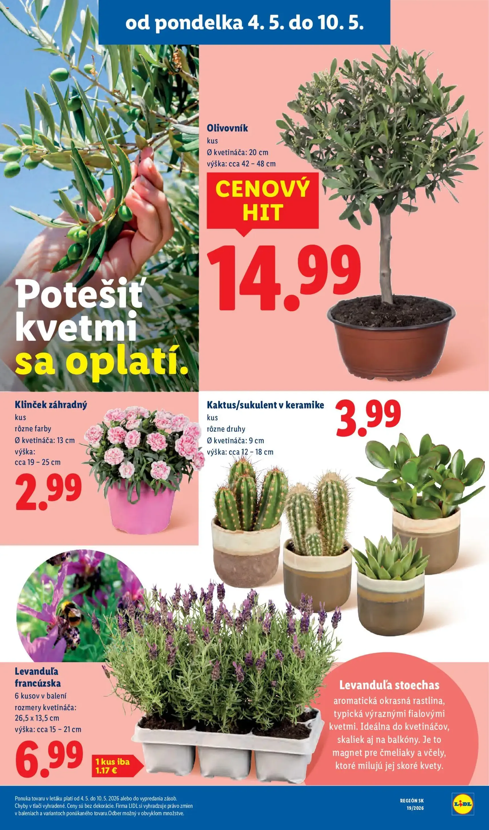 Lidl leták - platný leták od 04.05.2026 strana 42 z 93