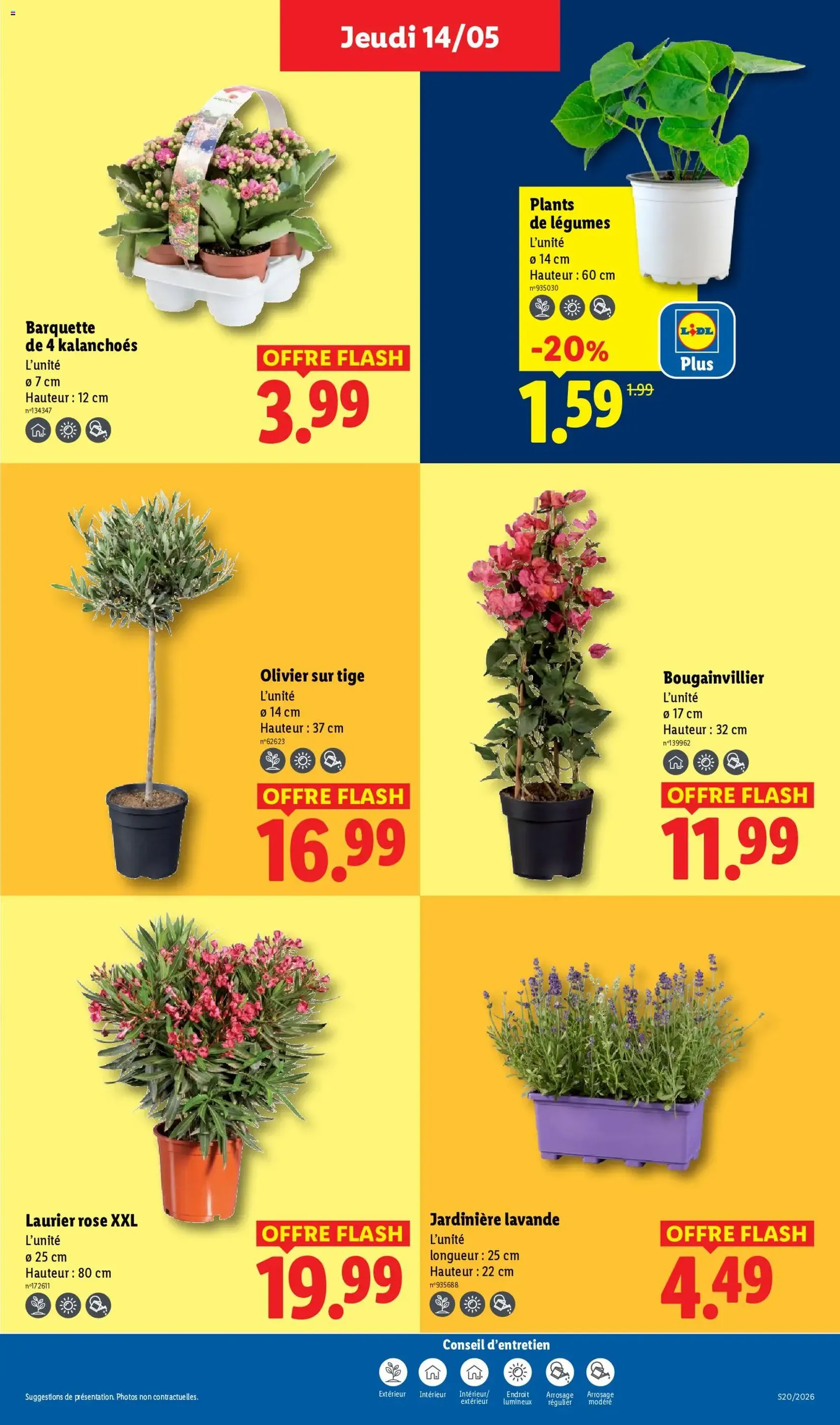 LIDL catalogue - brochure valable à partir du 14/05/2026, page 25 sur 59