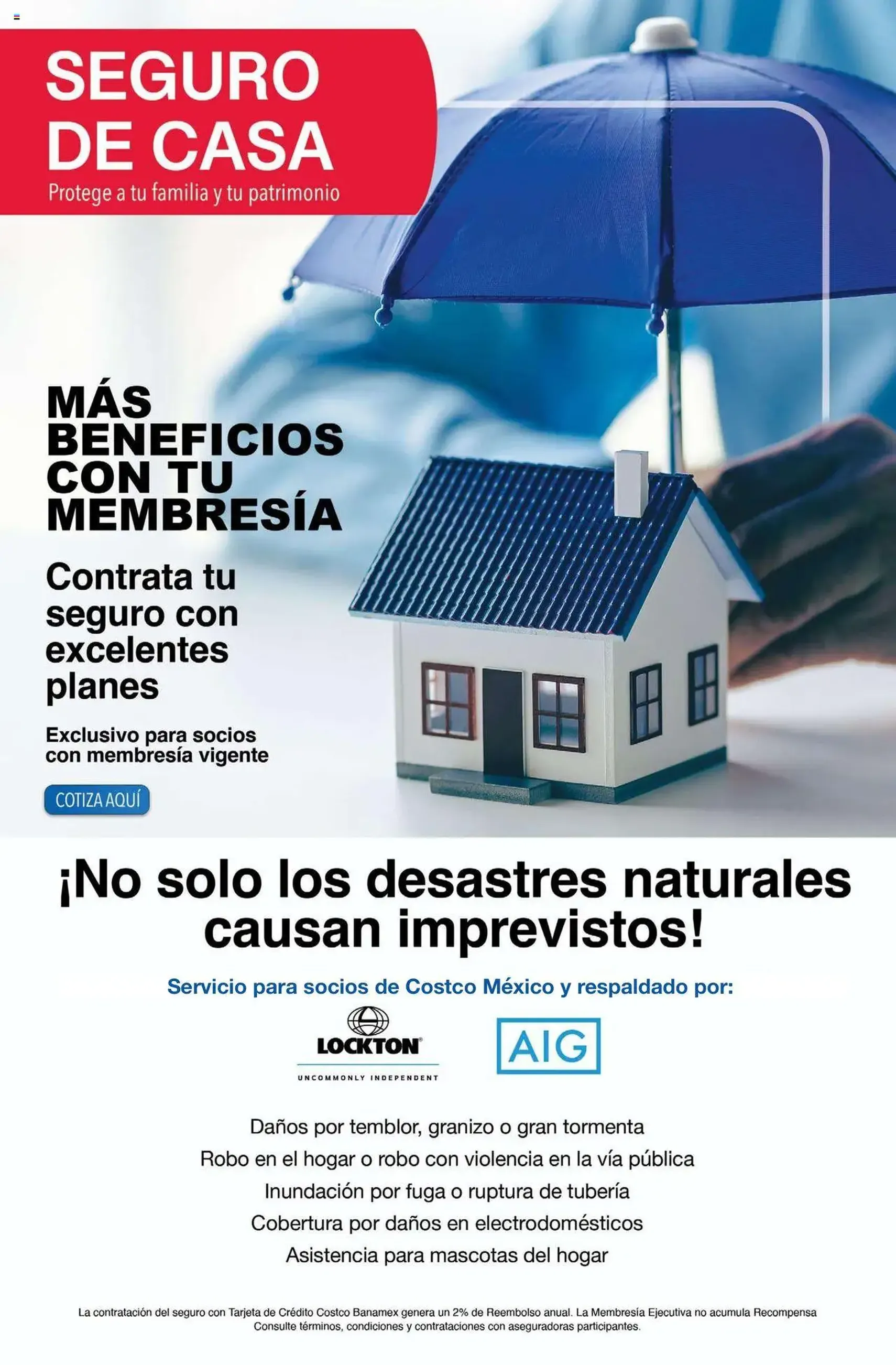 Costco catálogo Julio - folleto válido desde 07/07/2025 página 31 de 130 Costco catálogo Julio - folleto válido desde 07/07/2025 página 31 de 130