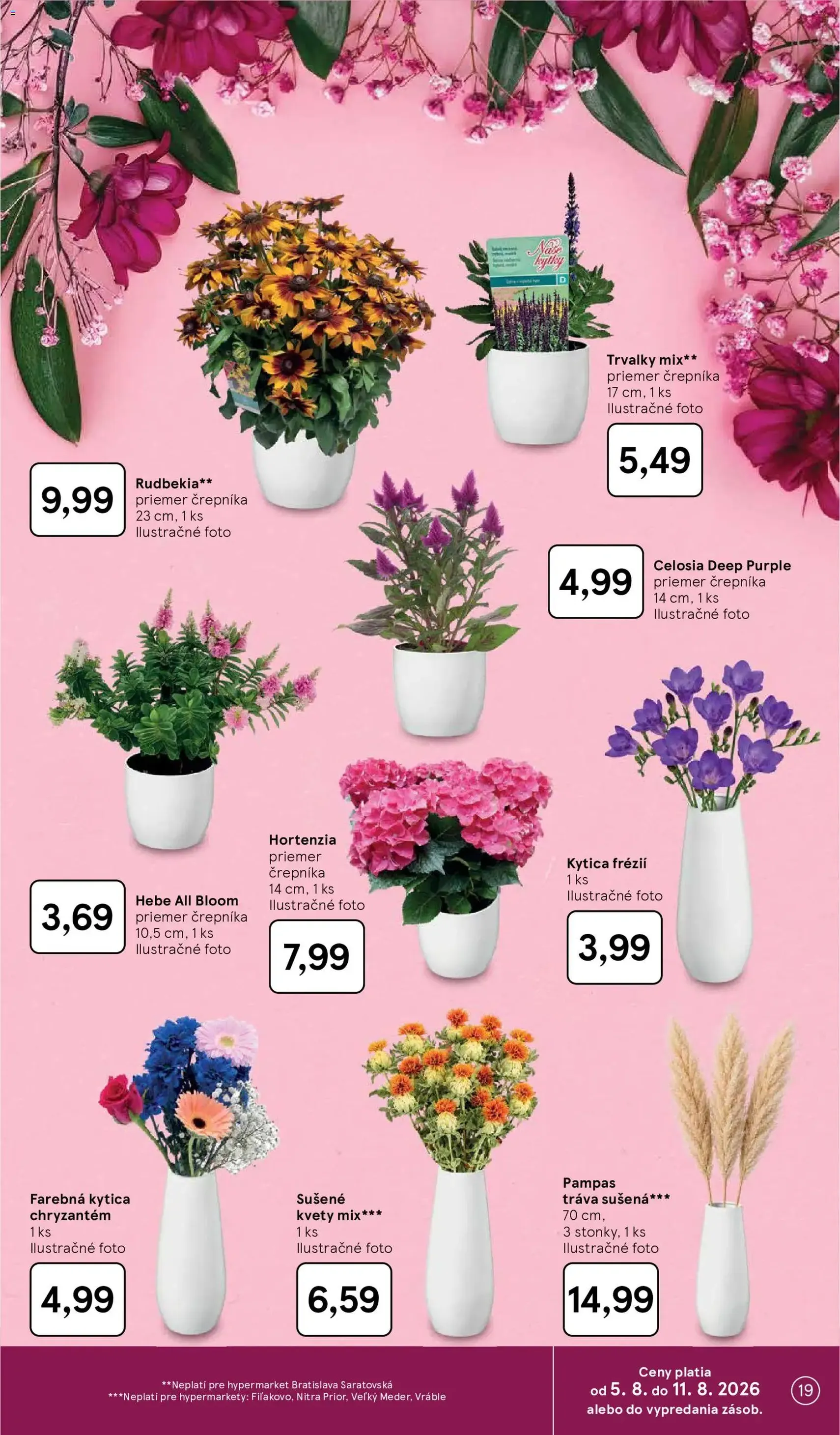 Tesco Hypermarket - leták - platný leták od 05.08.2026 strana 19 z 52