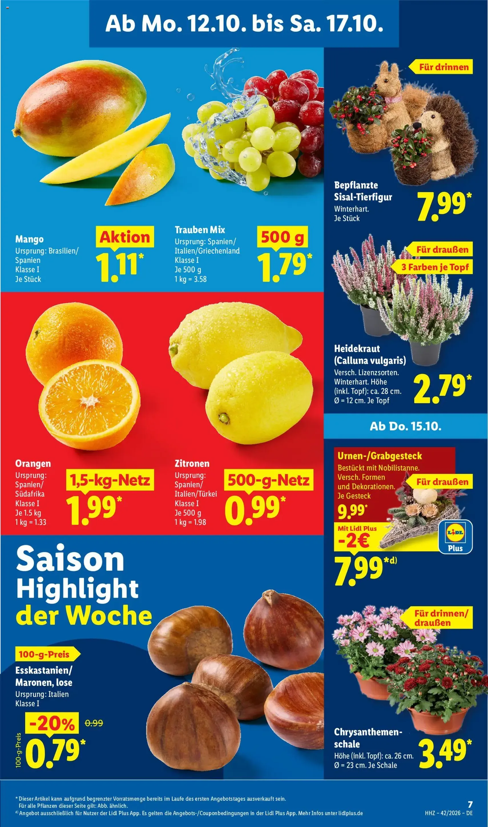 Lidl Prospekt - Gültiger Prospekt ab 12.10.2026, Seite 7 von insgesamt 32