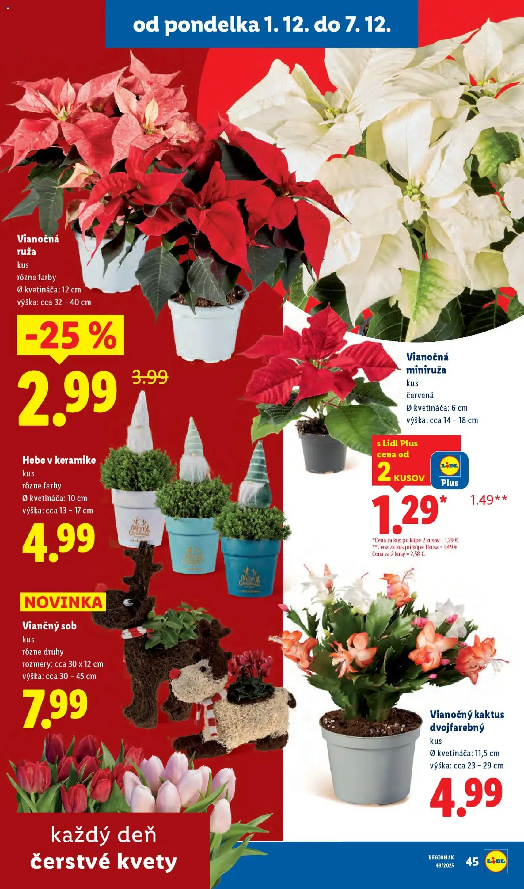 Lidl leták - platný leták od 01.12.2025 strana 42 z 100