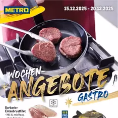 Metro Prospekt - Prospekt Vorschau gültig ab 15.12.2025
