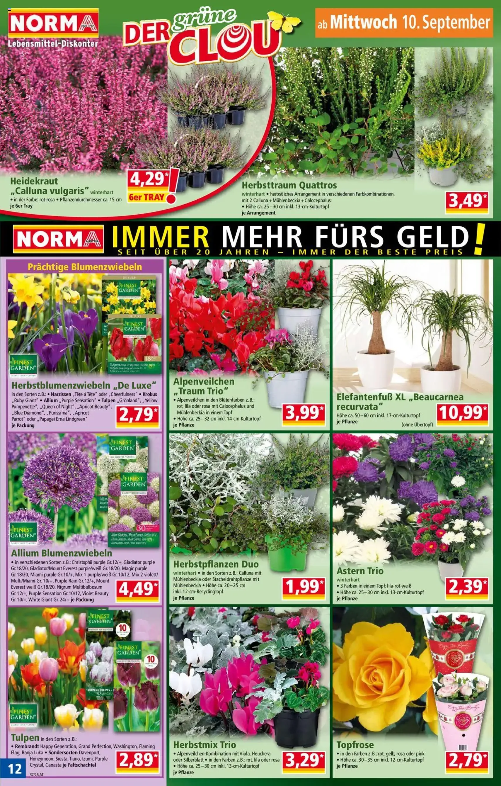 Norma Flugblatt - Gültiger Prospekt ab 08.09.2025, Seite 12 von insgesamt 18 Norma Flugblatt - Gültiger Prospekt ab 08.09.2025, Seite 12 von insgesamt 18