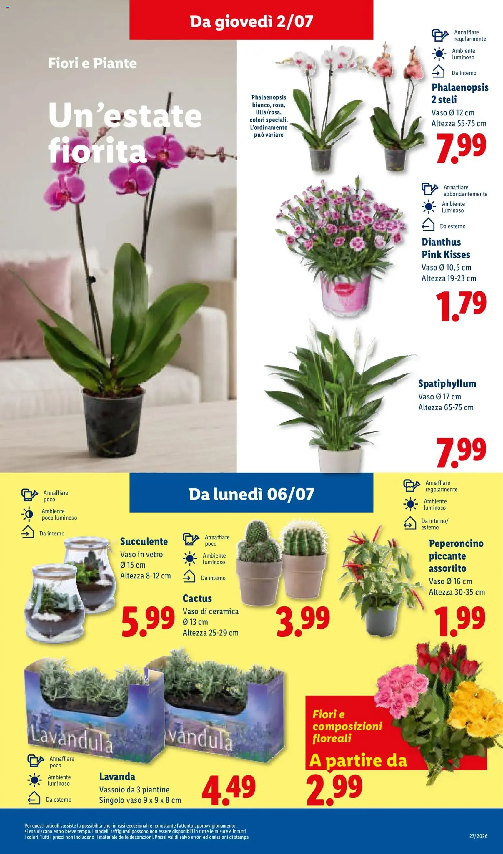 Lidl volantino - volantino valido dal 02/07/2026 pagina 29 di 48