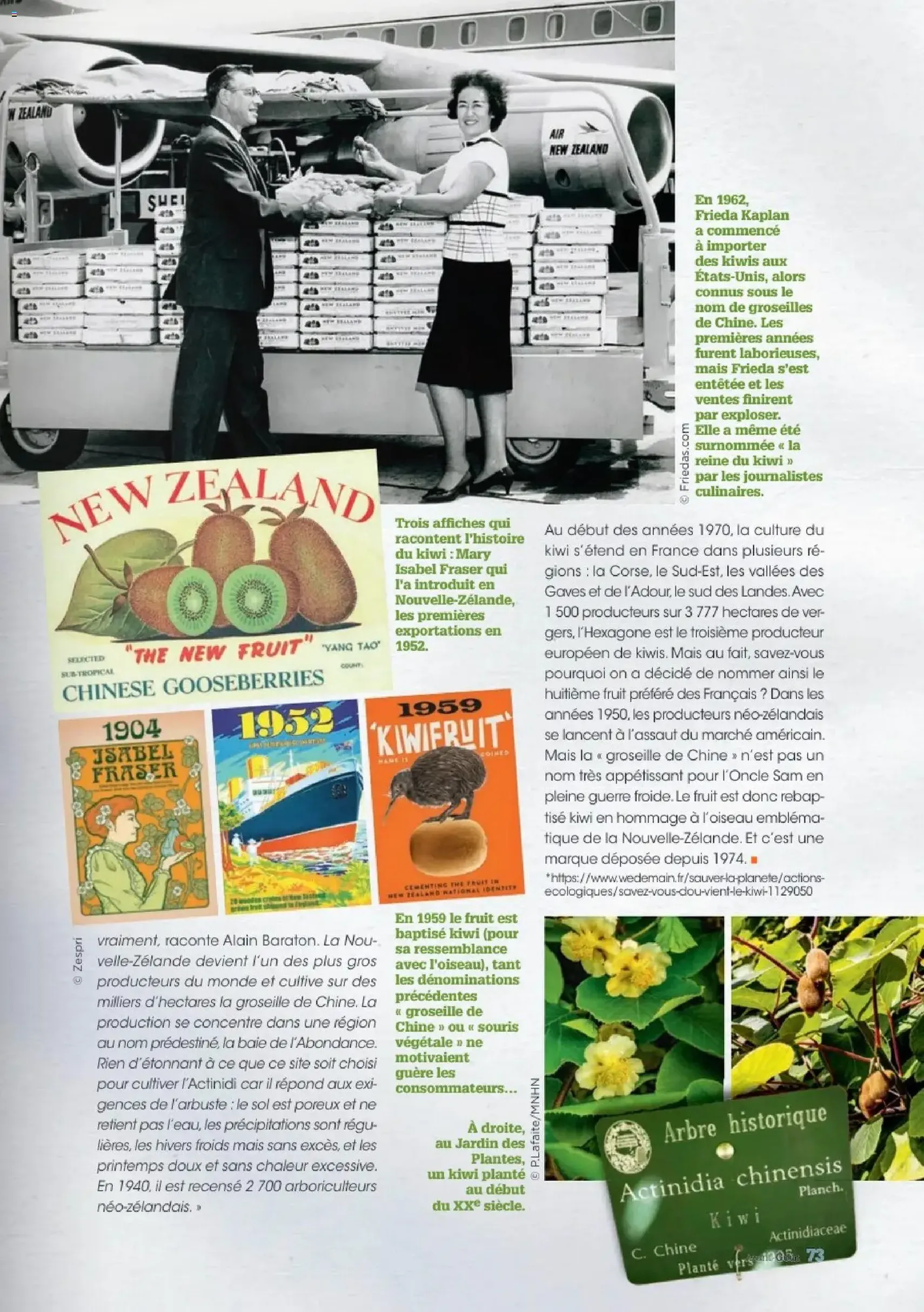 Grand Frais catalogue - brochure valable à partir du 01/12/2025, page 73 sur 76