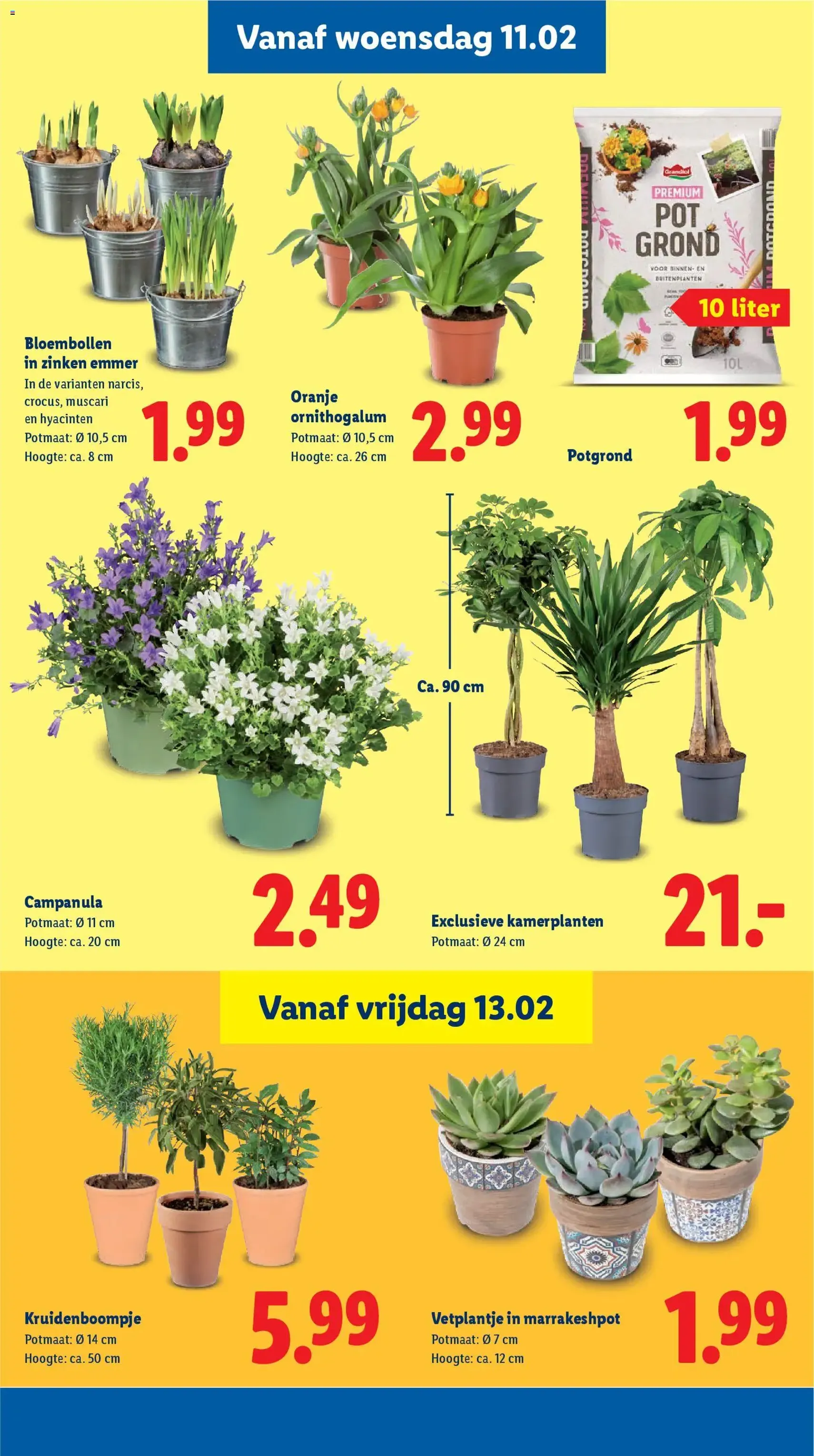Lidl - Folder week 7 - geldige folder vanaf 09-02-2026 pagina 15 van 41