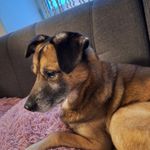 Profilová fotka používateľa