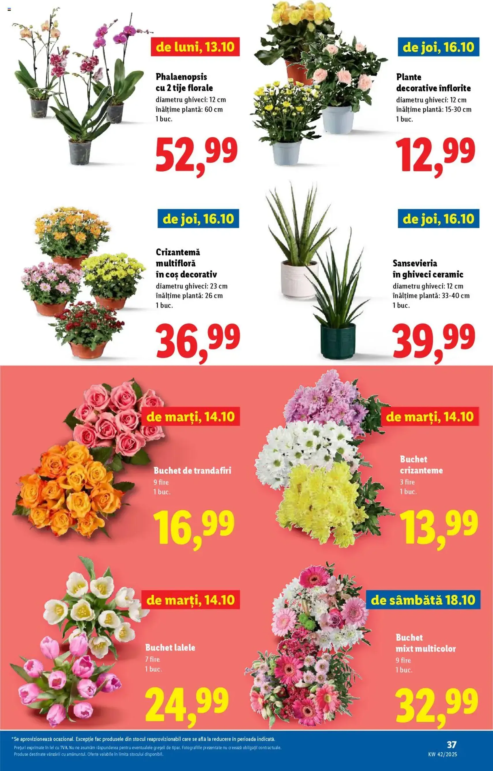 Catalog Lidl - cataloage valabile începând cu 13.10.2025 pagina 37 din 58