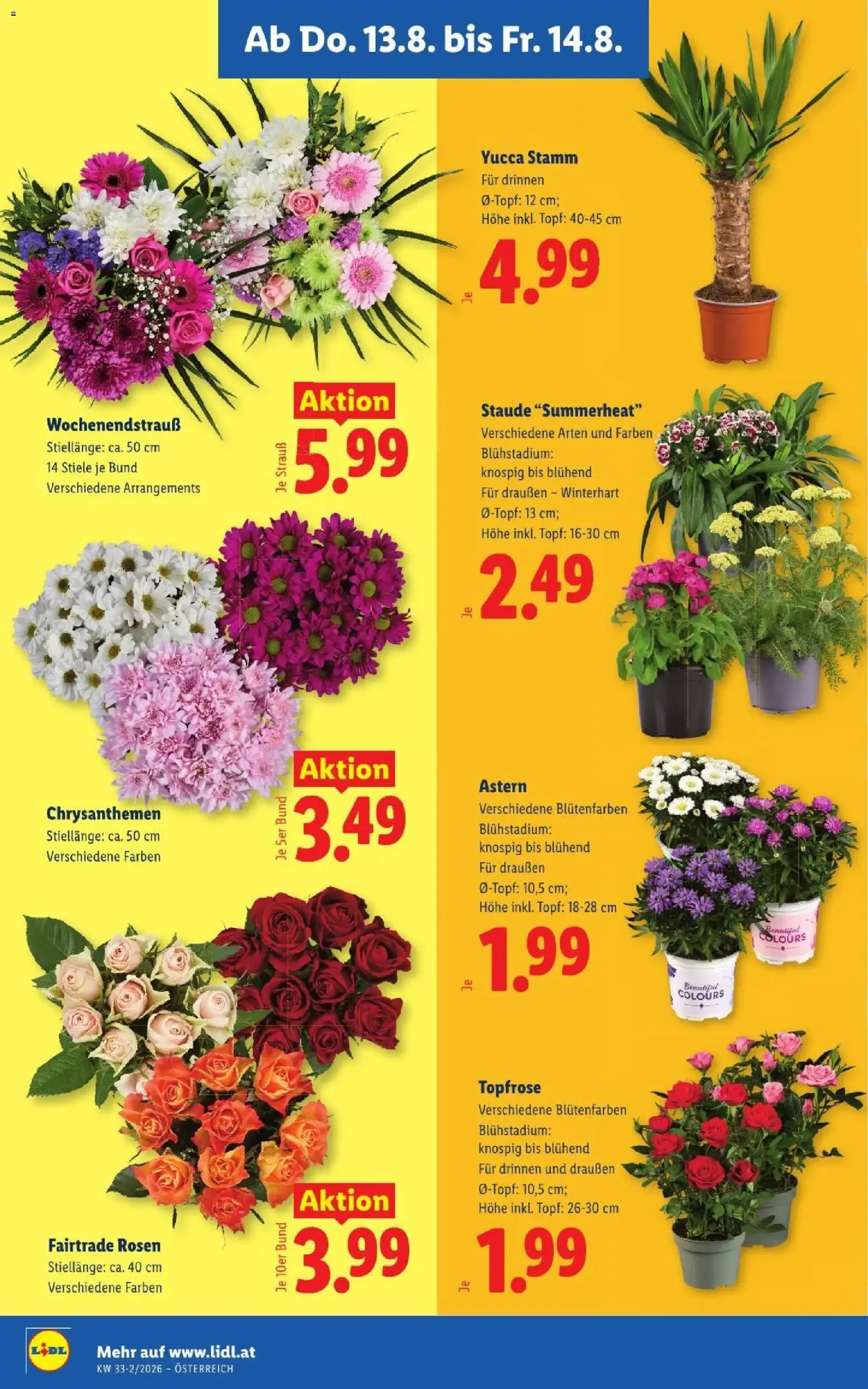 Lidl - Flugblatt - Gültiger Prospekt ab 13.08.2026, Seite 26 von insgesamt 51