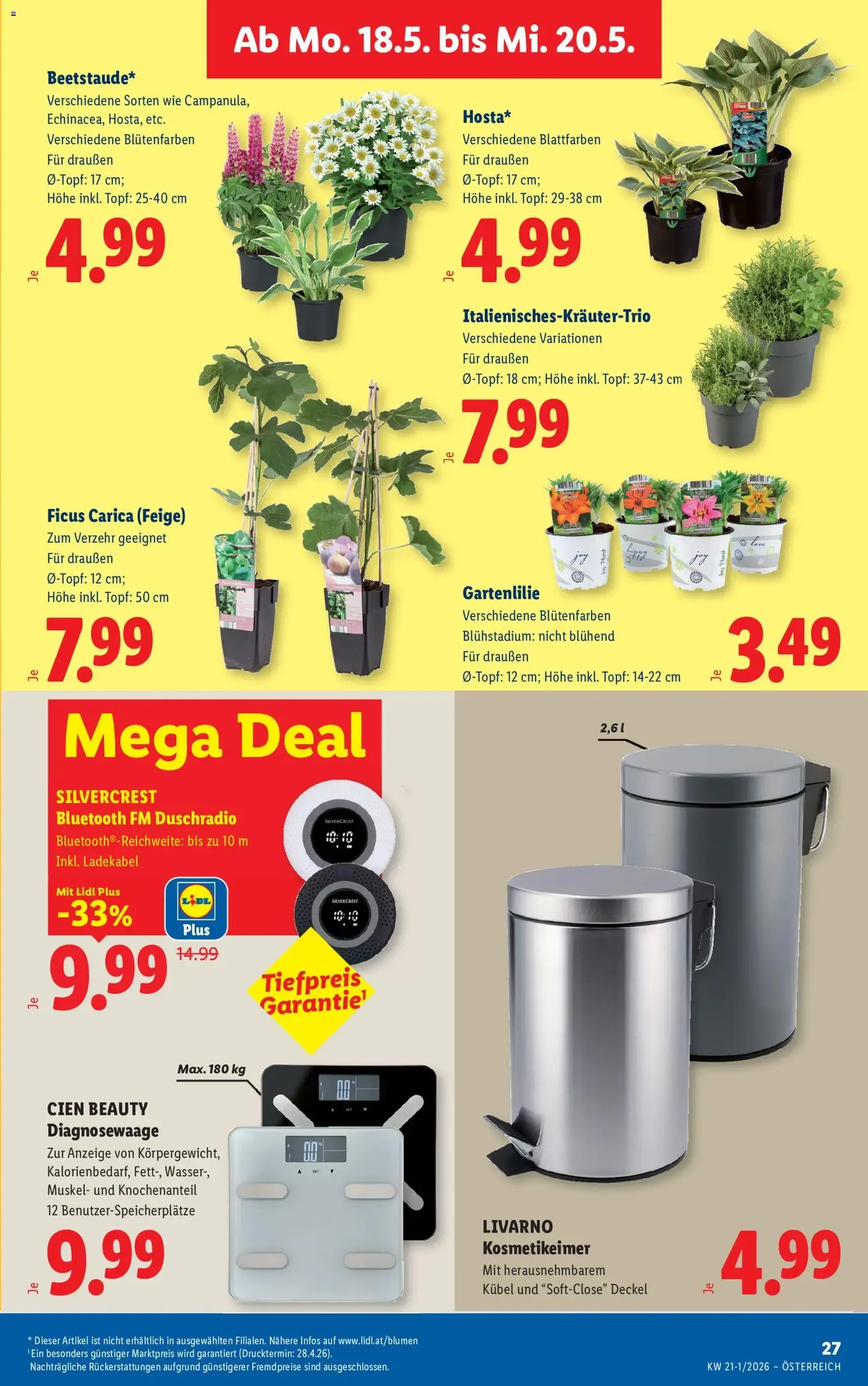 Lidl - Flugblatt - Gültiger Prospekt ab 13.05.2026, Seite 32 von insgesamt 49