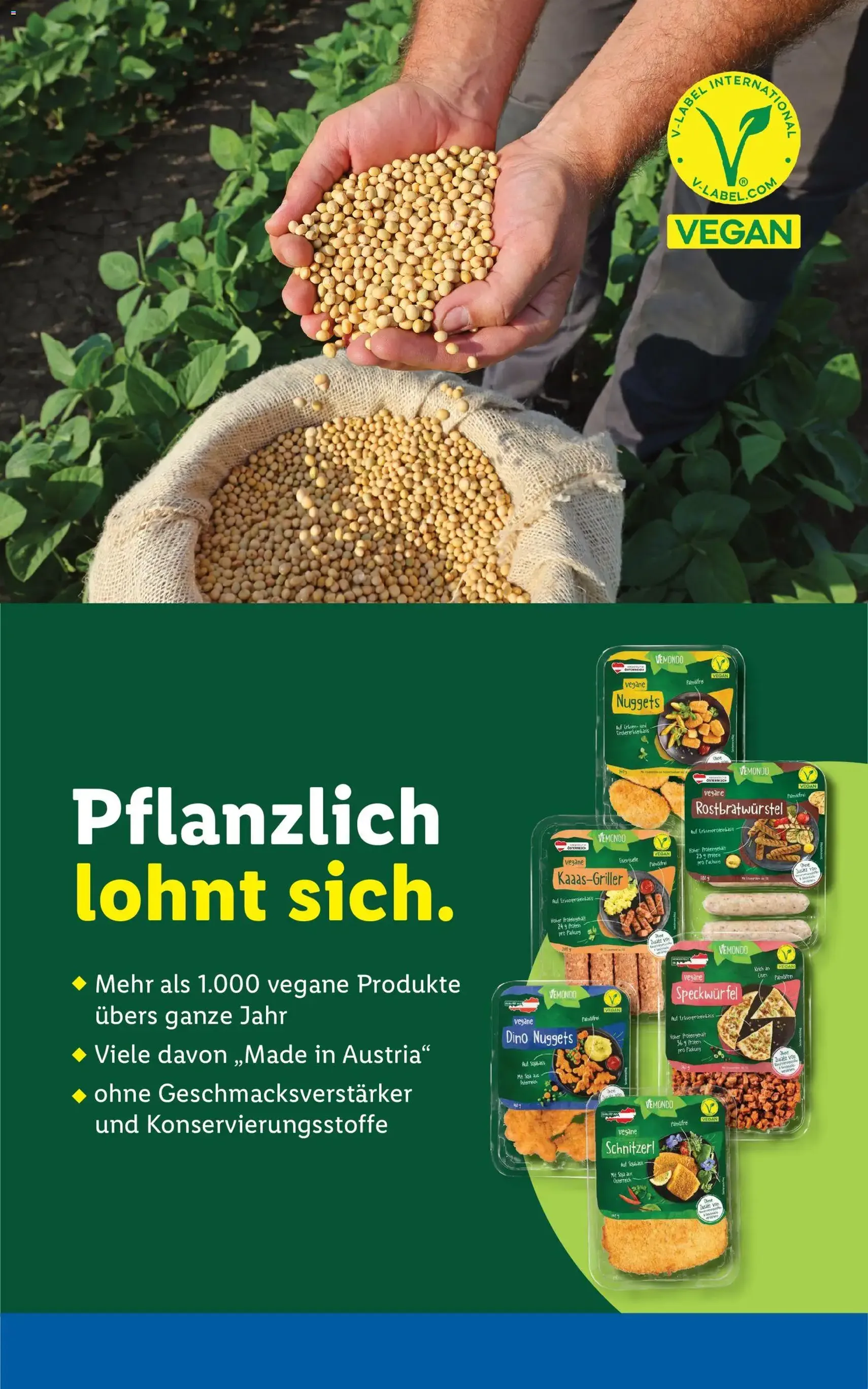Lidl - Flugblatt - Gültiger Prospekt ab 21.05.2026, Seite 50 von insgesamt 51