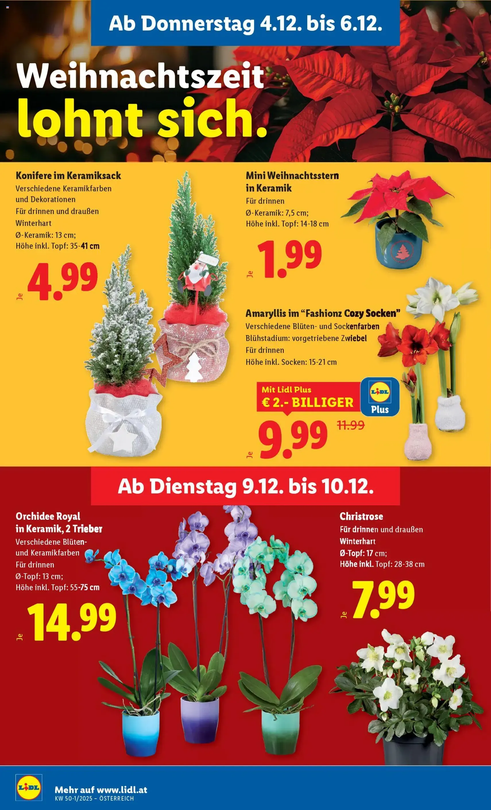 Lidl Flugblatt - Gültiger Prospekt ab 04.12.2025, Seite 32 von insgesamt 50