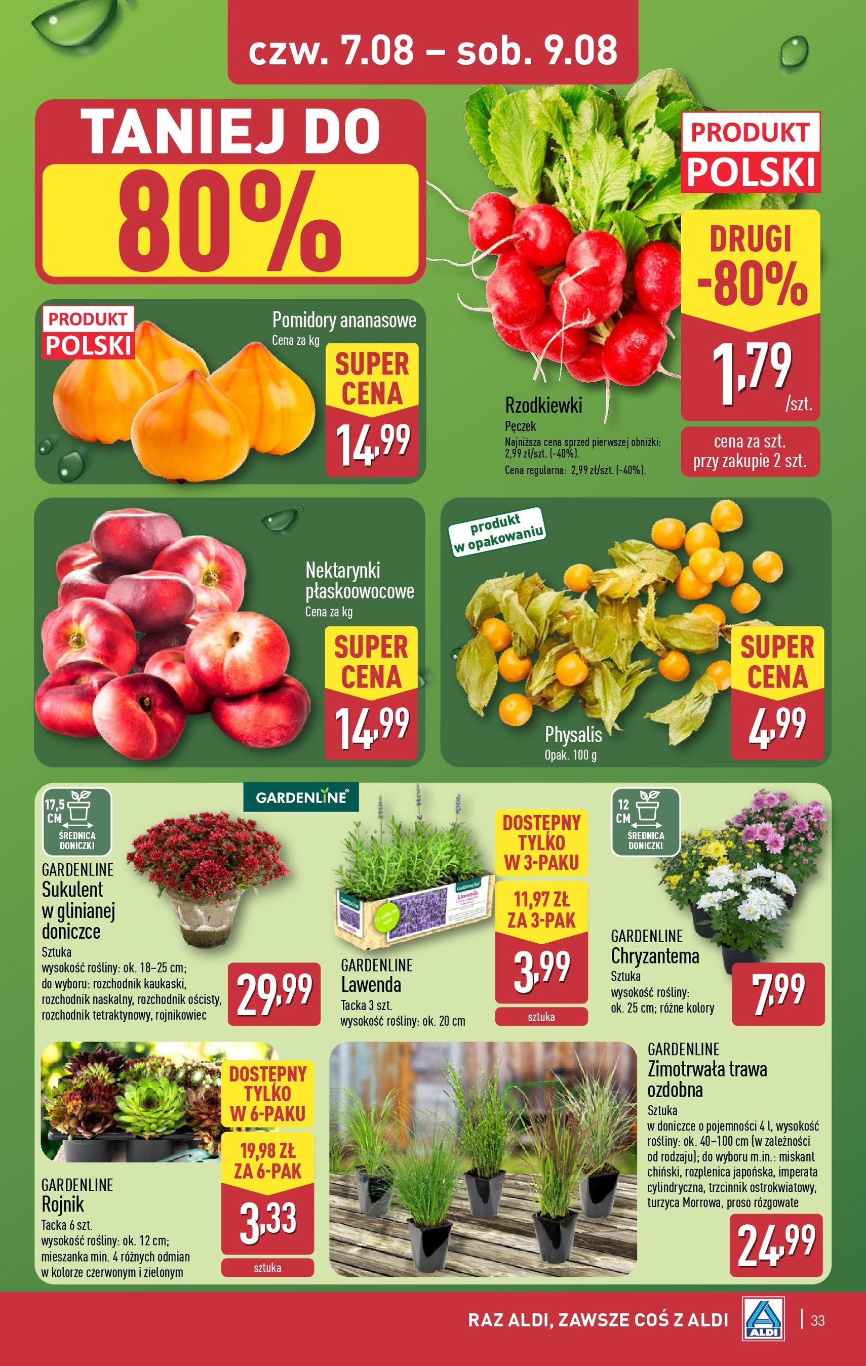 Aldi Gazetka - ważny gazetka od 04.08.2025 strona 33 z 42 Aldi Gazetka - ważny gazetka od 04.08.2025 strona 33 z 42