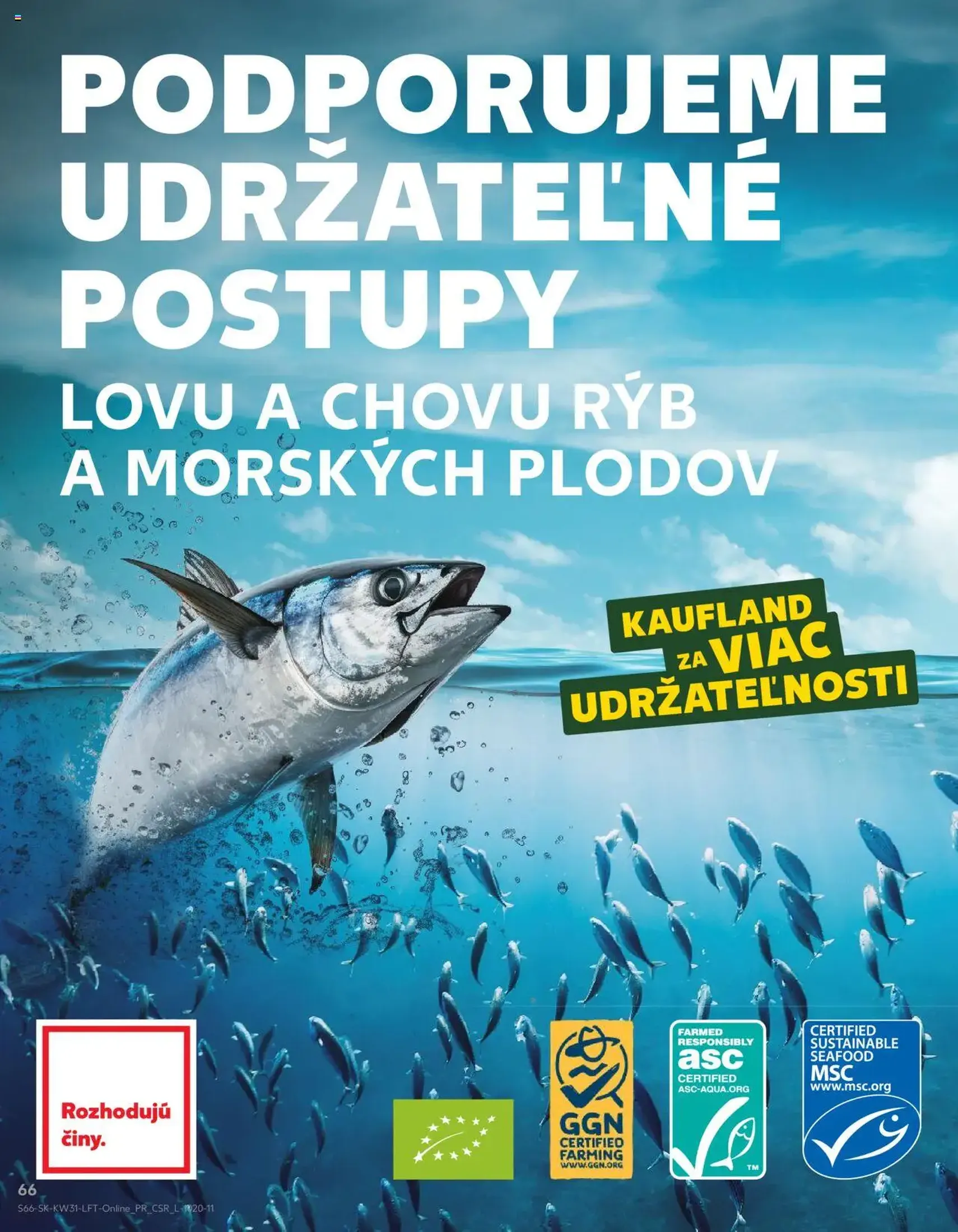 Kaufland Bratislava-Dúbravka - platný leták od 31.07.2025 strana 66 z 76