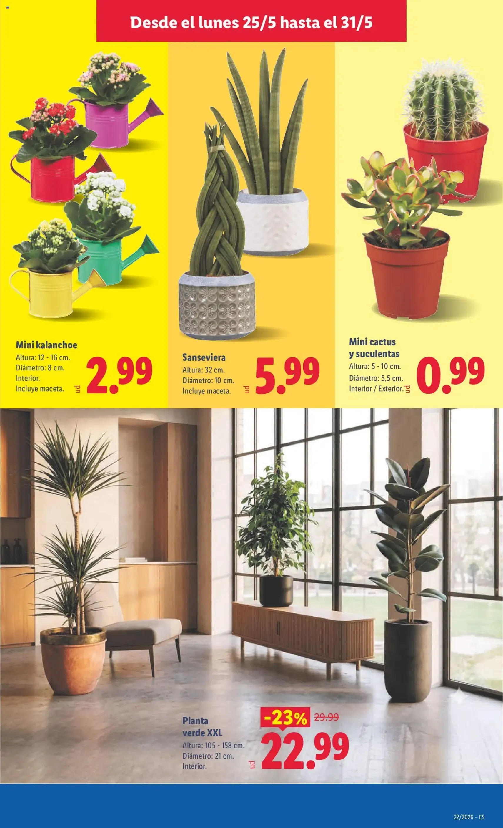 Lidl folleto - folleto válido desde 25/05/2026 página 35 de 35