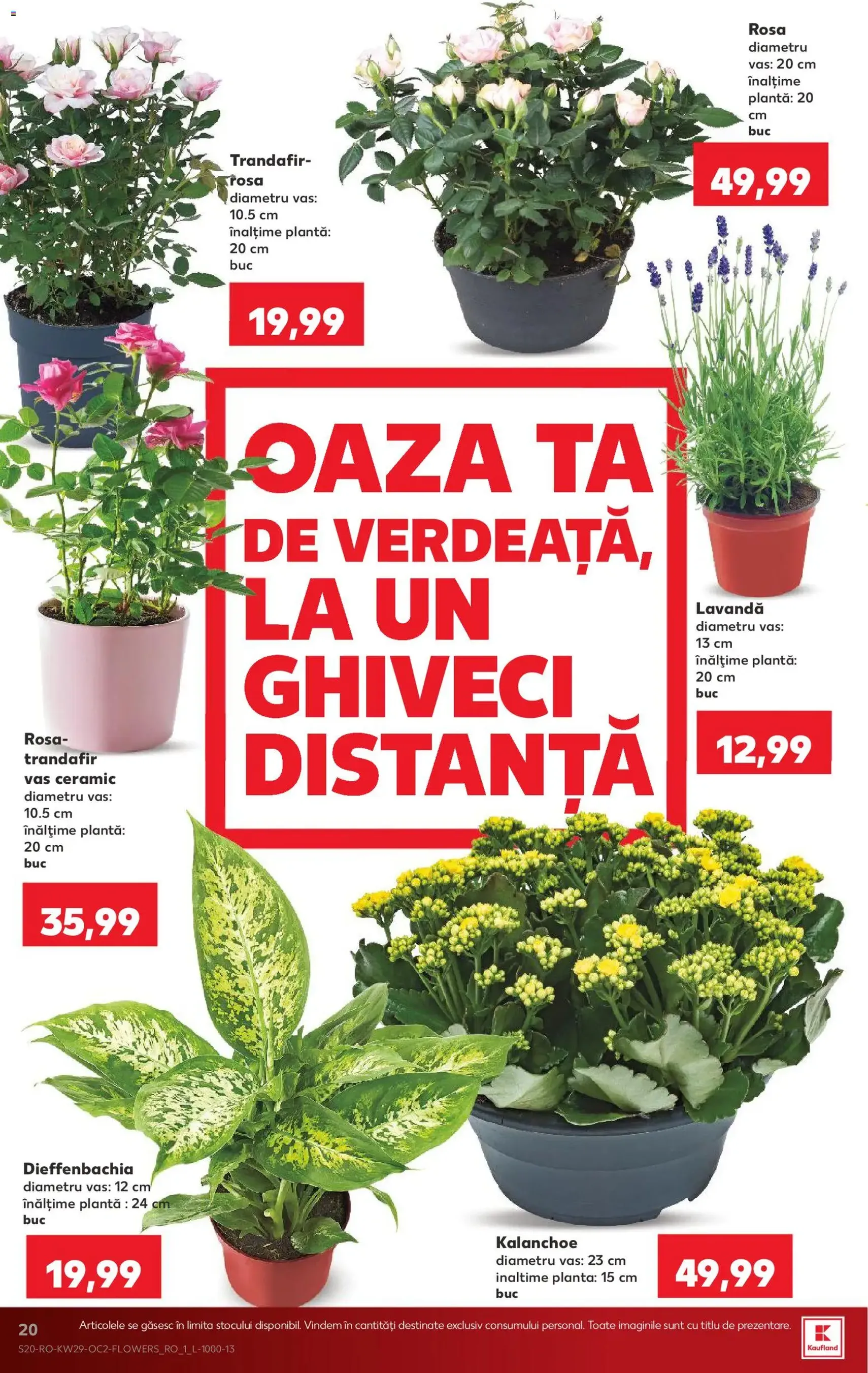 Kaufland Catalog - cataloage valabile începând cu 15.07.2026 pagina 20 din 70