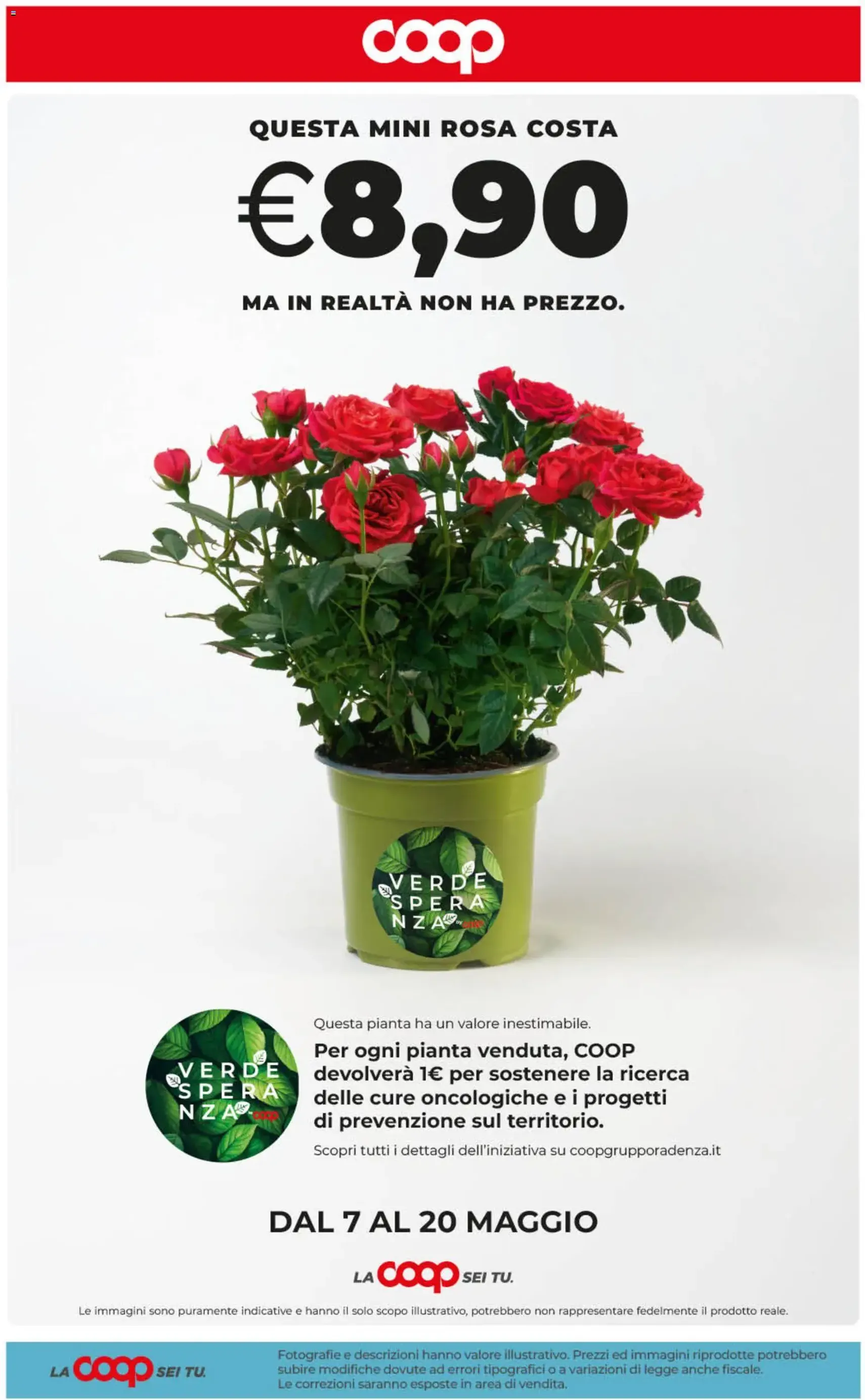 COOP volantino Sicilia - volantino valido dal 07/05/2026 pagina 41 di 42